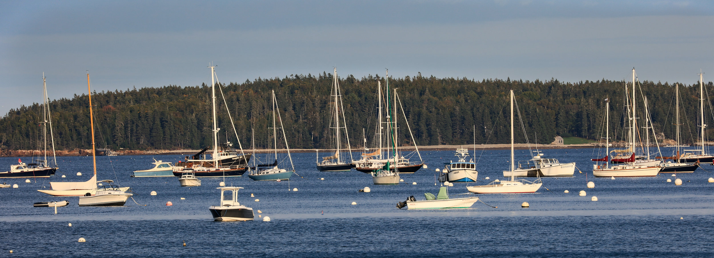 Southwest Harbor Sunshine