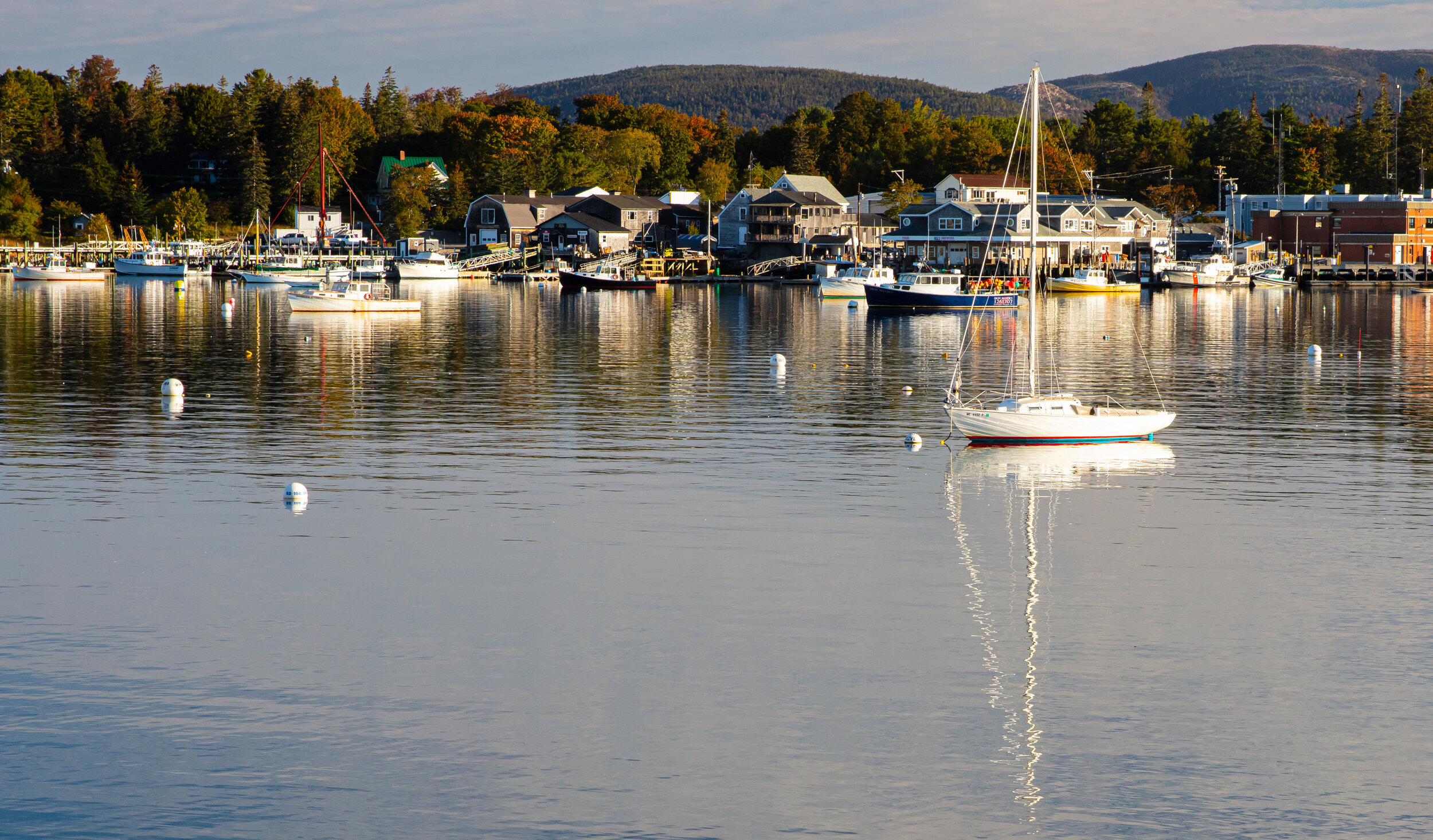 Southwest Harbor Sailboat