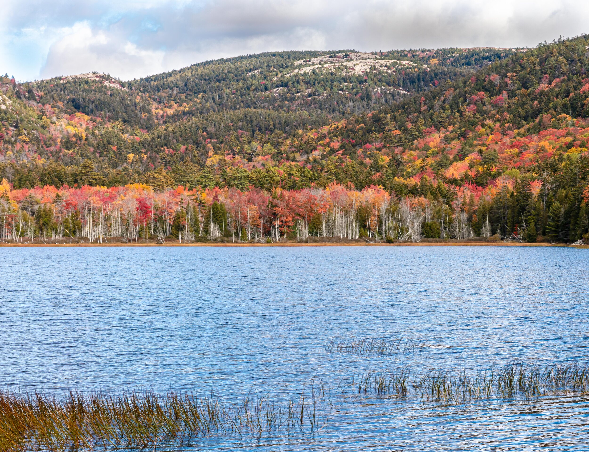 Lower Hadlock Pond