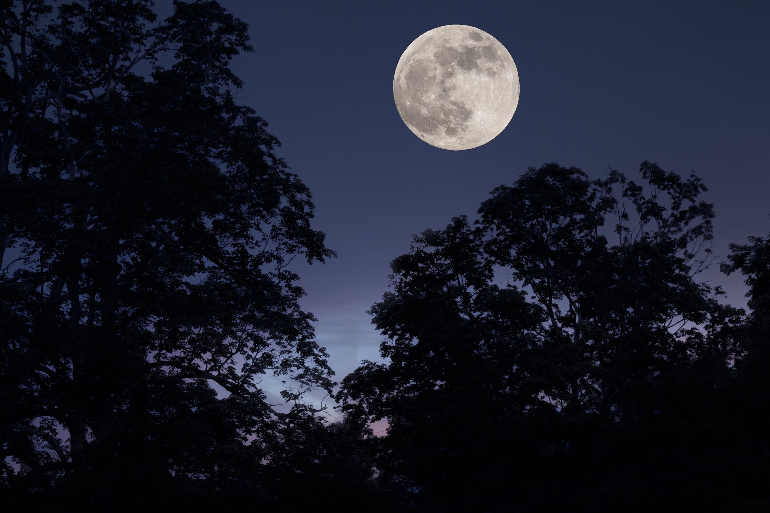 "The full moon is a magical thing... like a fantasy come to life." -- Jim Christensen
