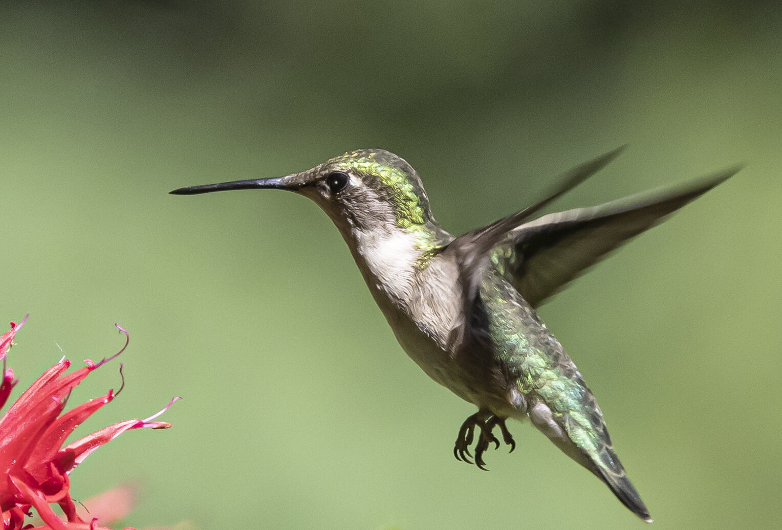 2021 hummers-1352.jpg