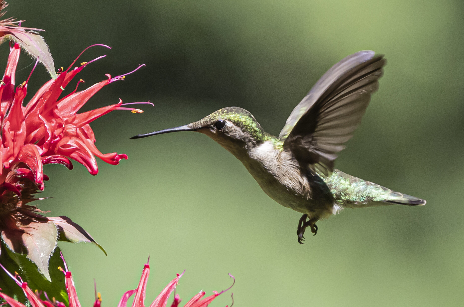 2021 hummers-1355.jpg