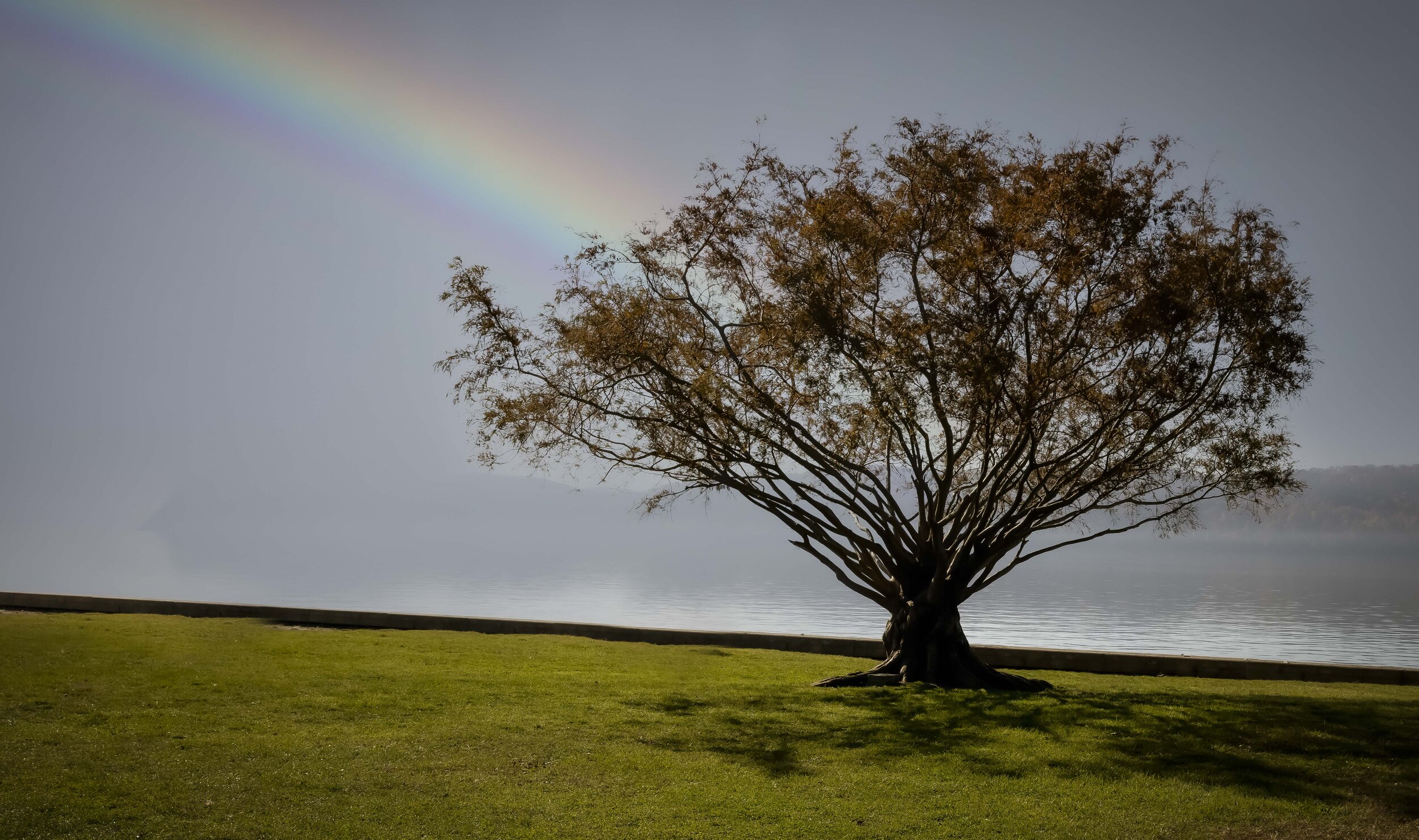 RAINBOW ON THE RIVER