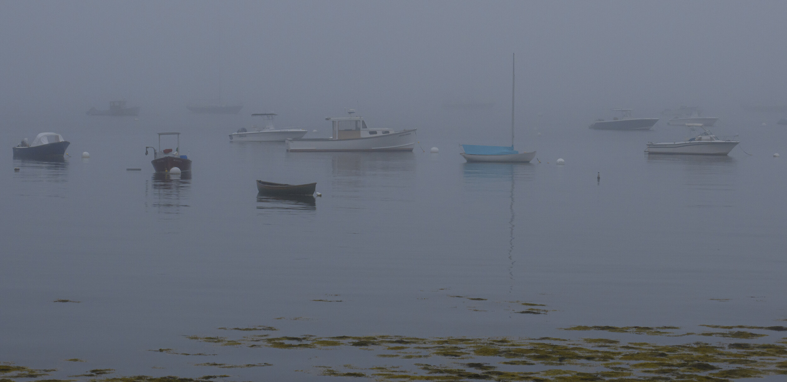 Southwest Harbor Fog
