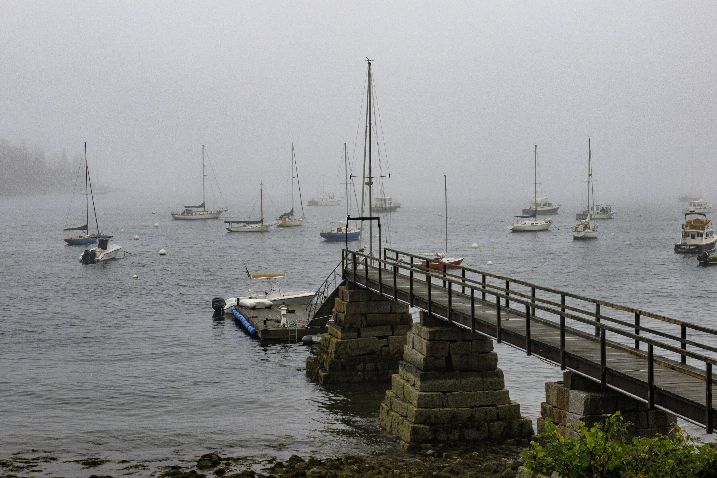 Harbor in Fog