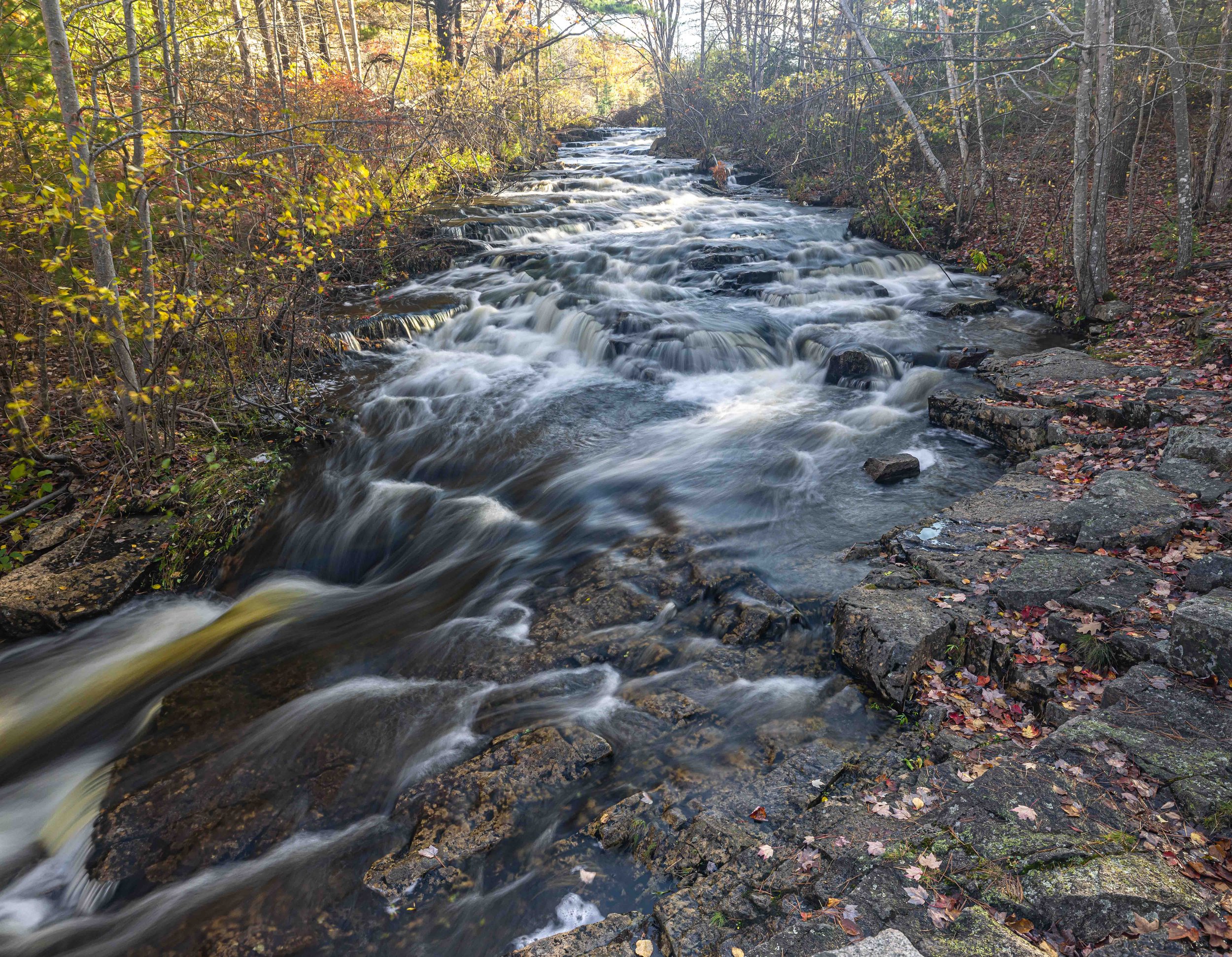 Duck Brook After Storm