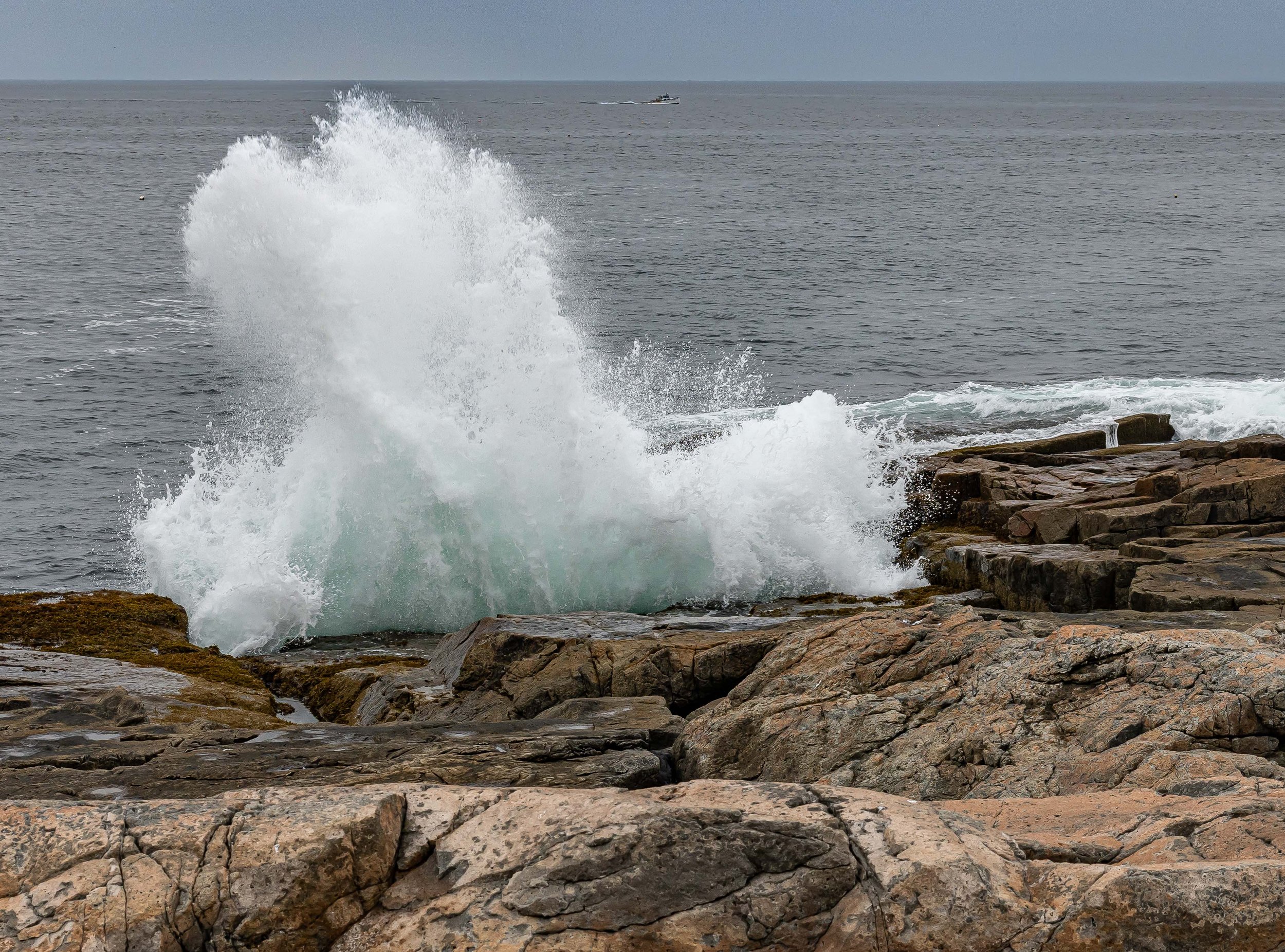 Schoodic Wave