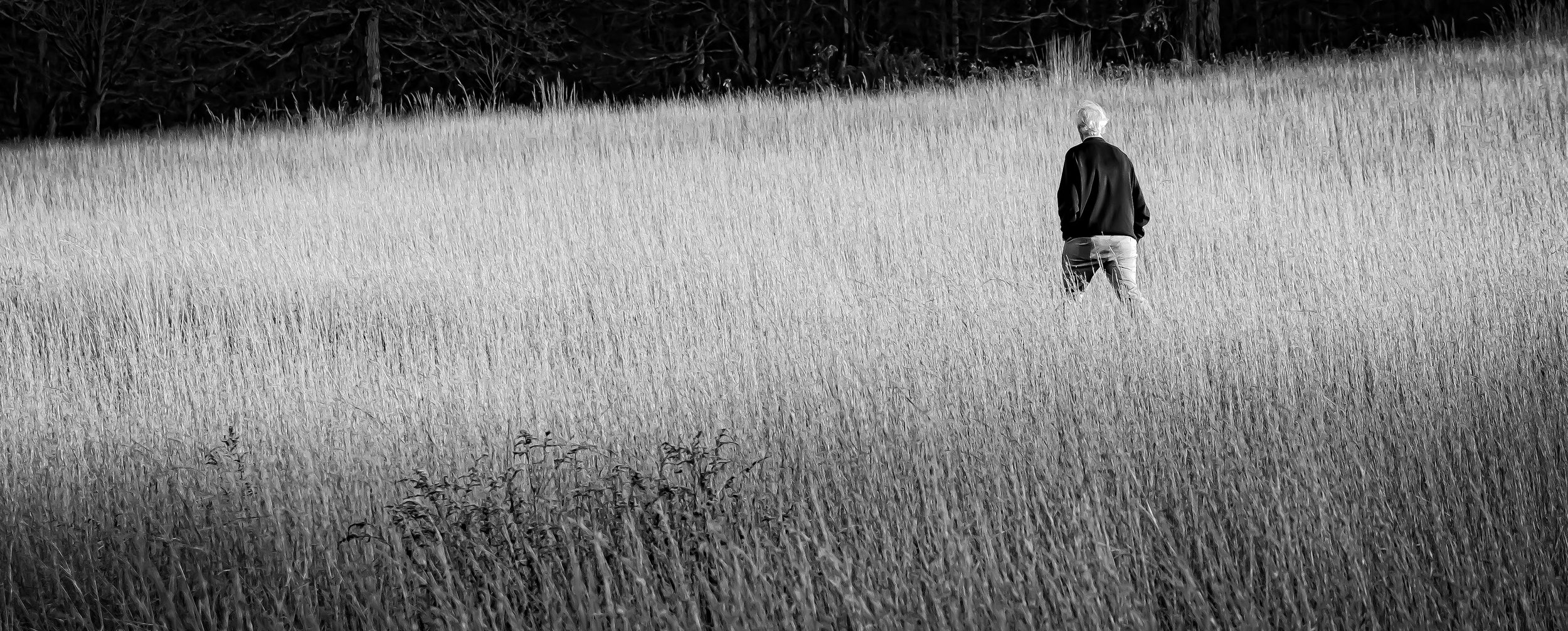 Man in Field