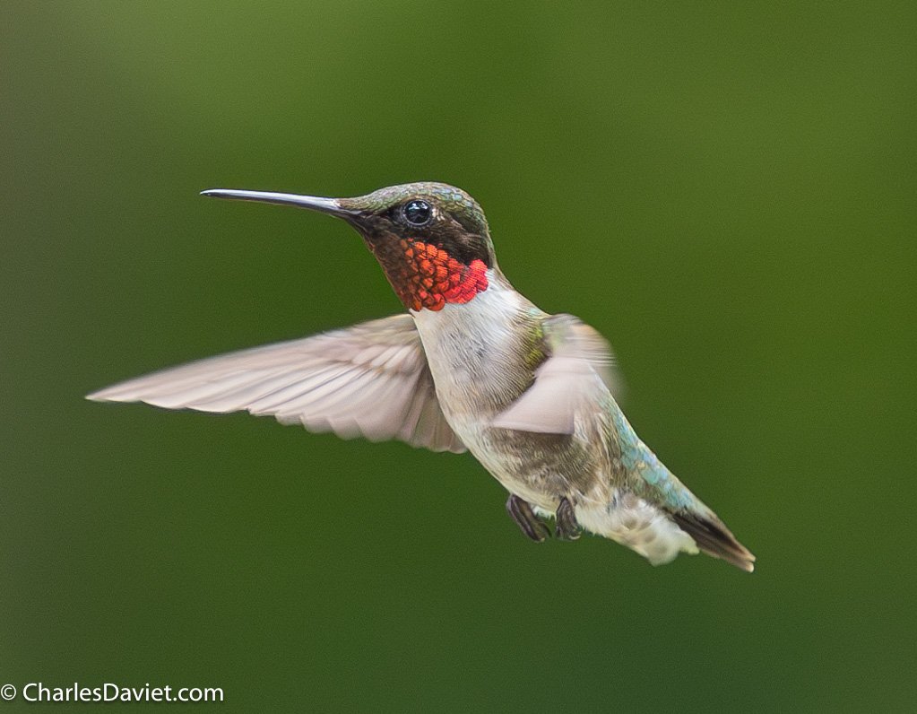 20230625MMHUMMER-3766-Enhanced-NR.jpg