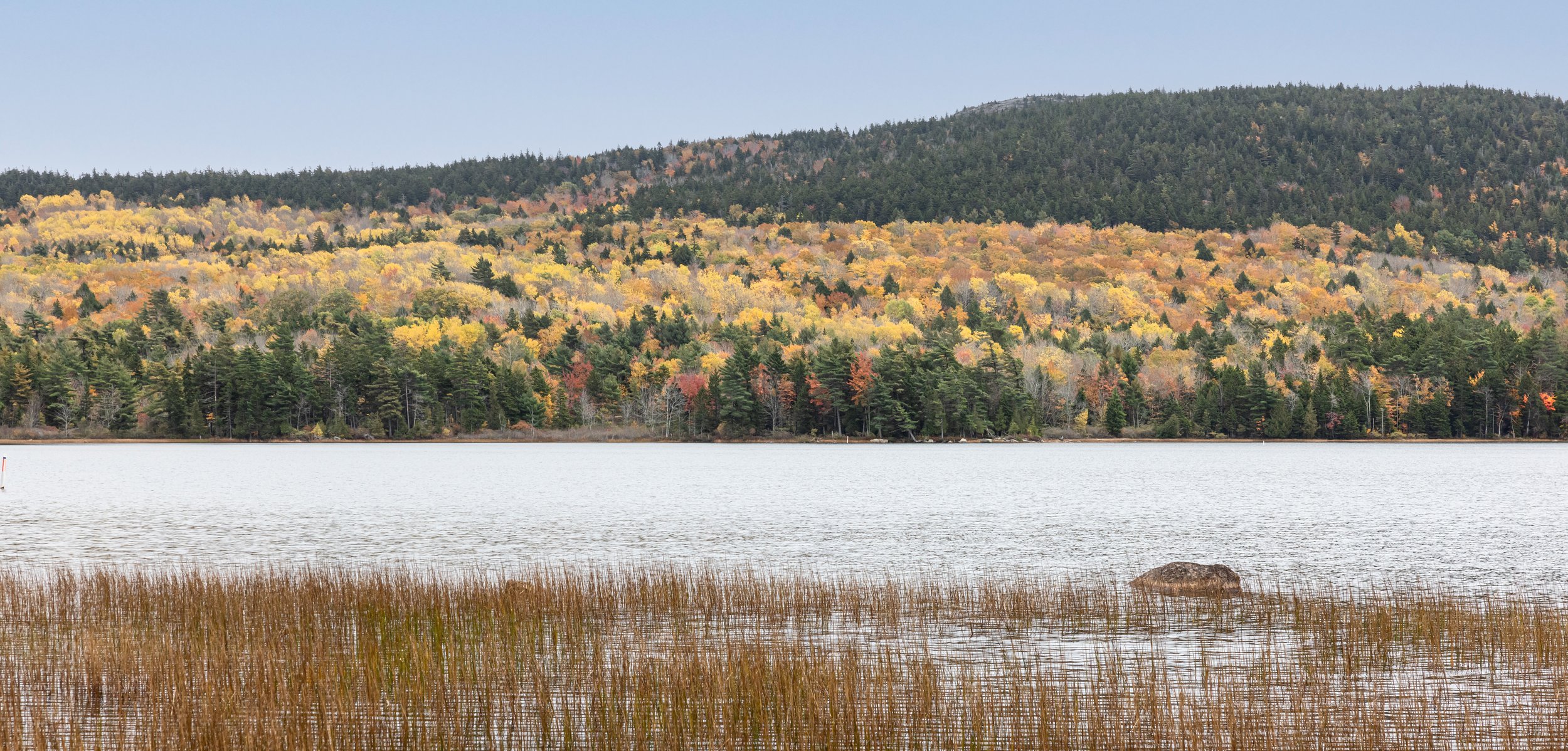 Eagle Lake Display