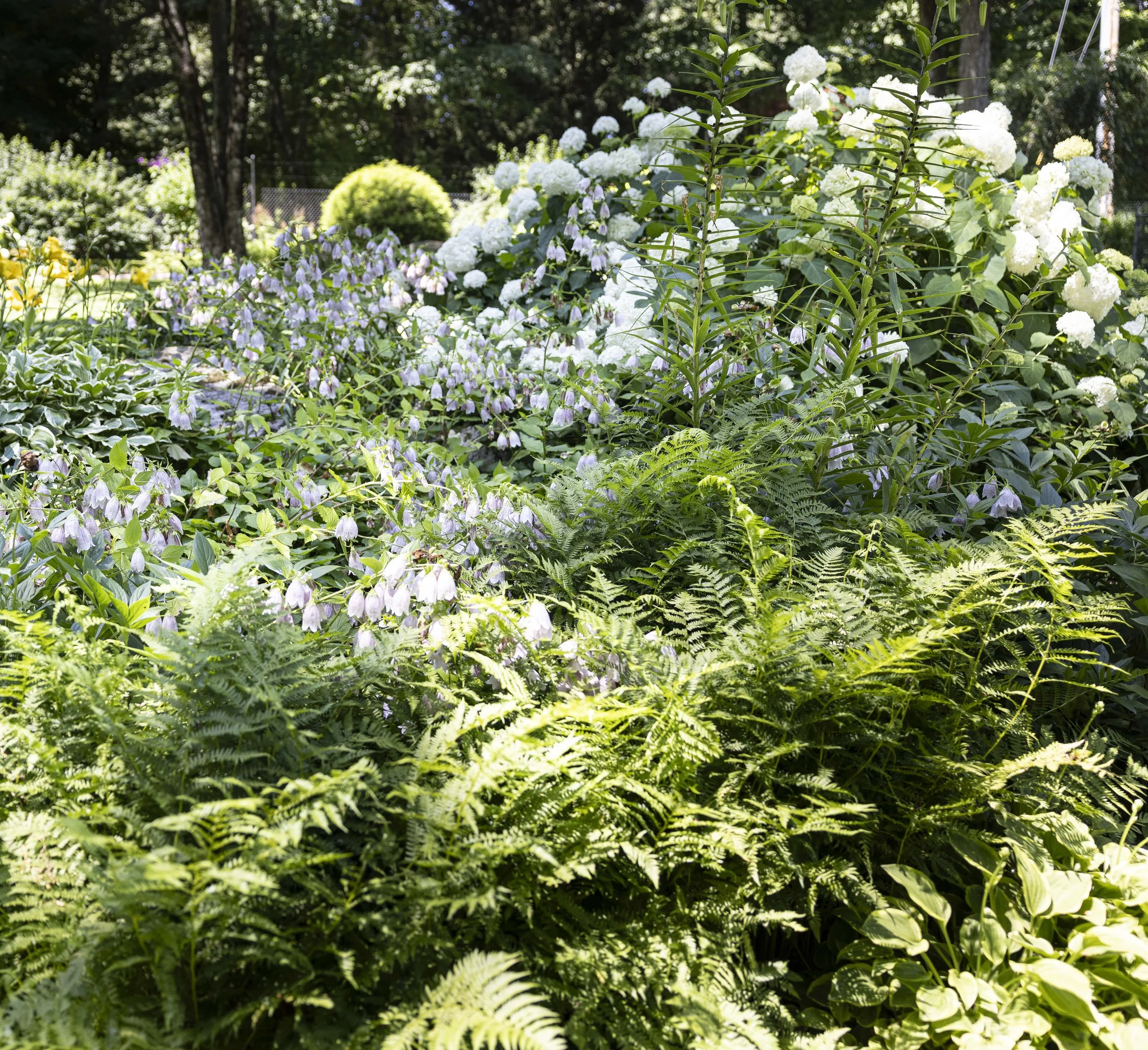 PeonyAndMOre-7544.jpg
