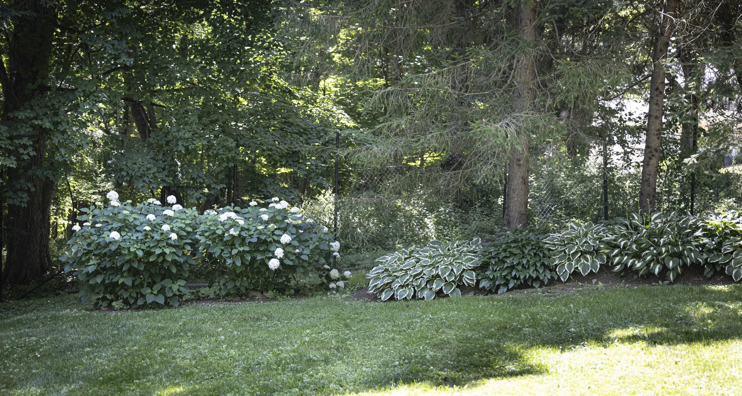 PeonyAndMOre-7550.jpg