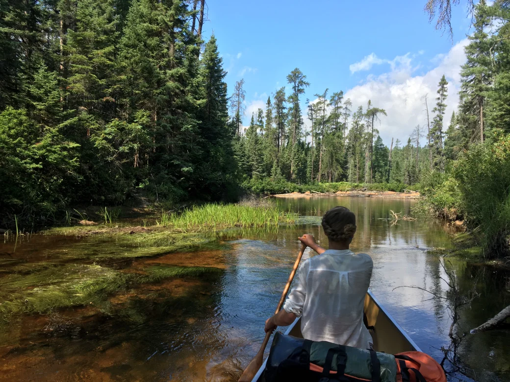 Up the Creek