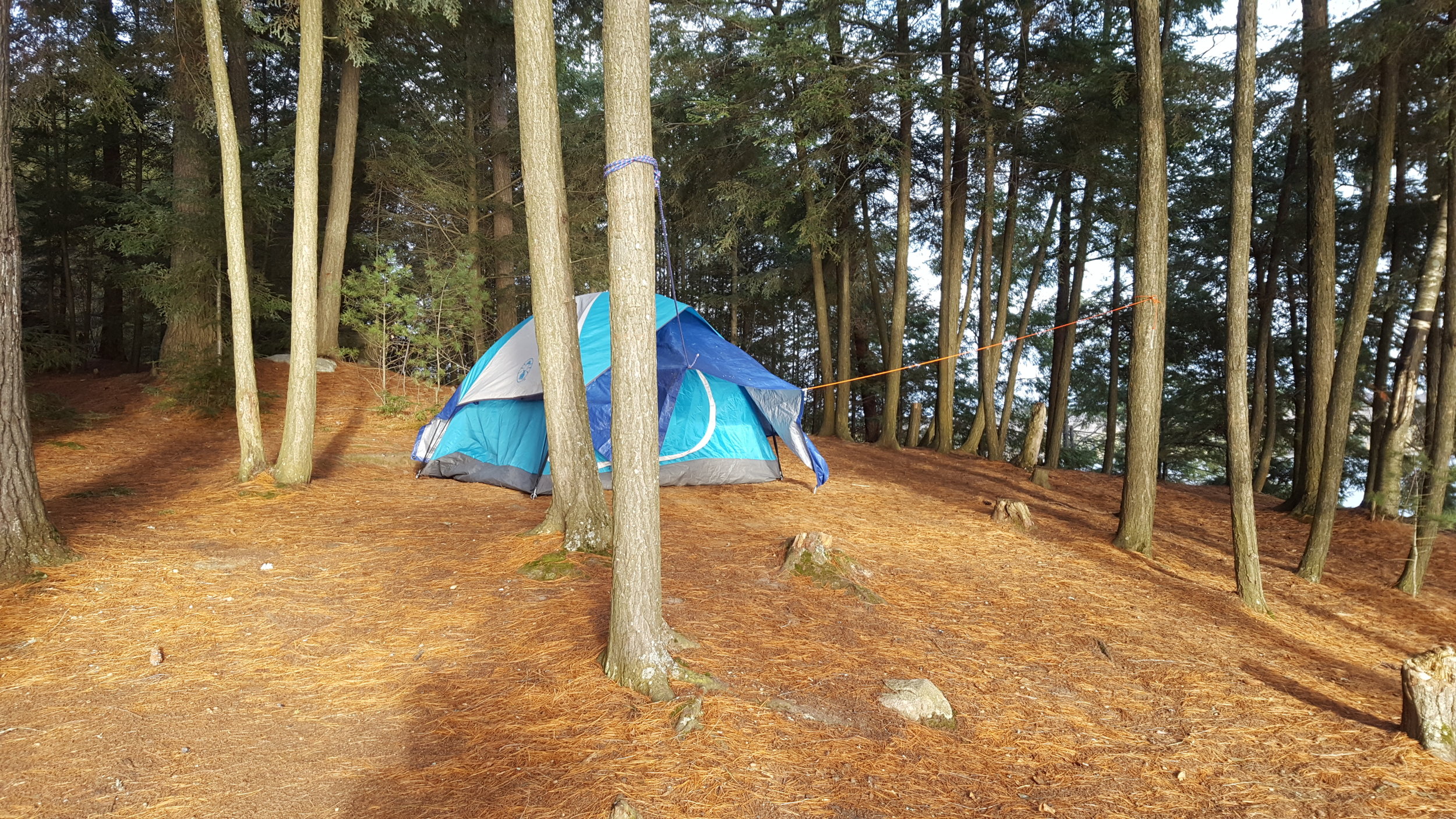Tarp under the fly to keep the cold out and our body heat in