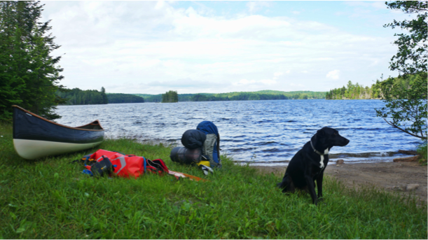 Kingscote Lake access point - July 8th 2016