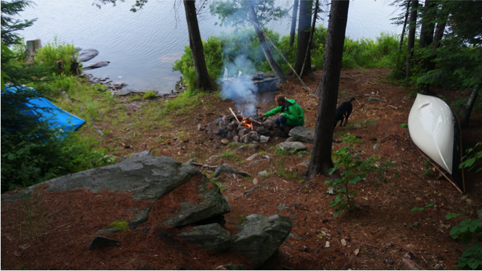 The best seat in the house, campsite Kingscote L