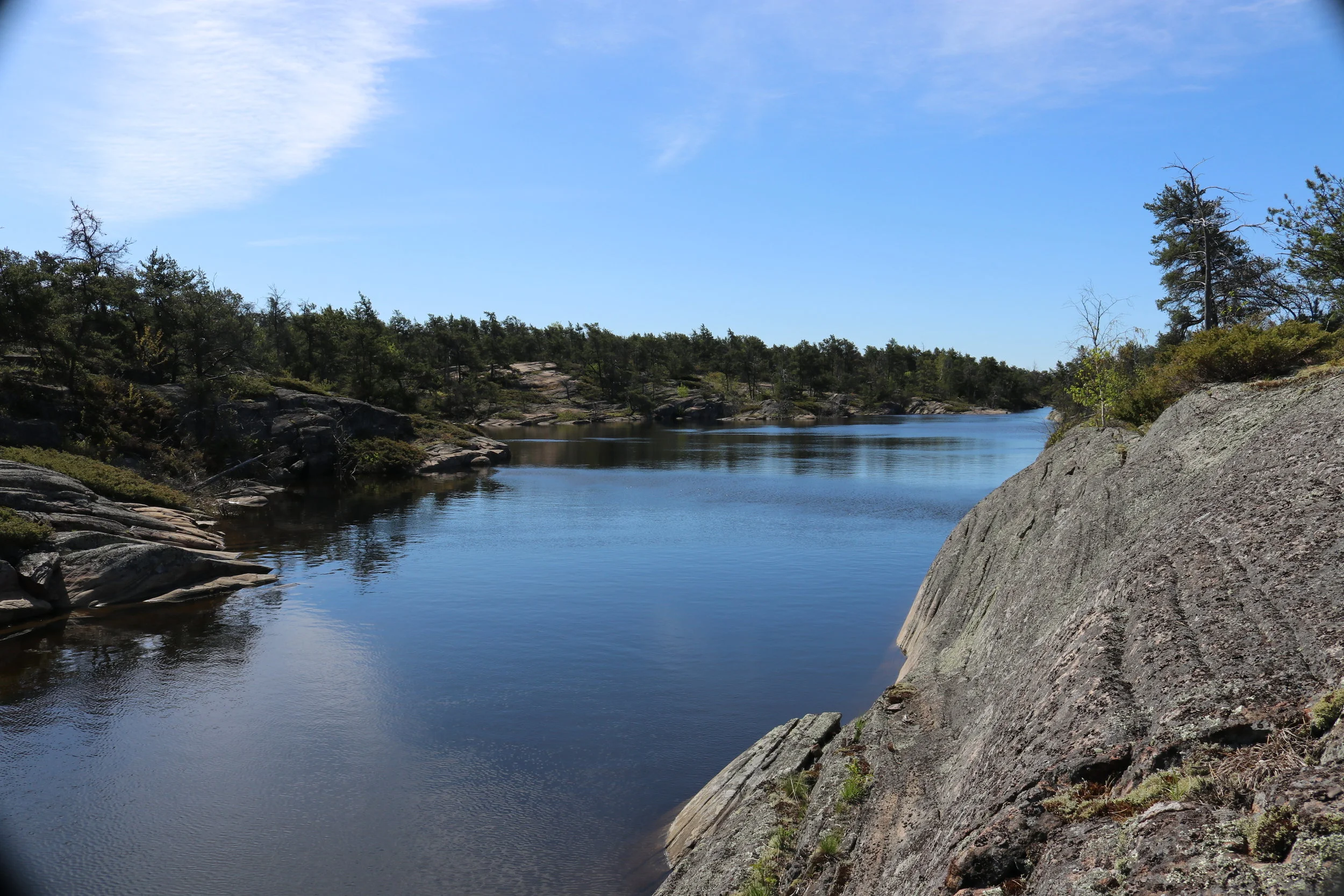 Pickerel River