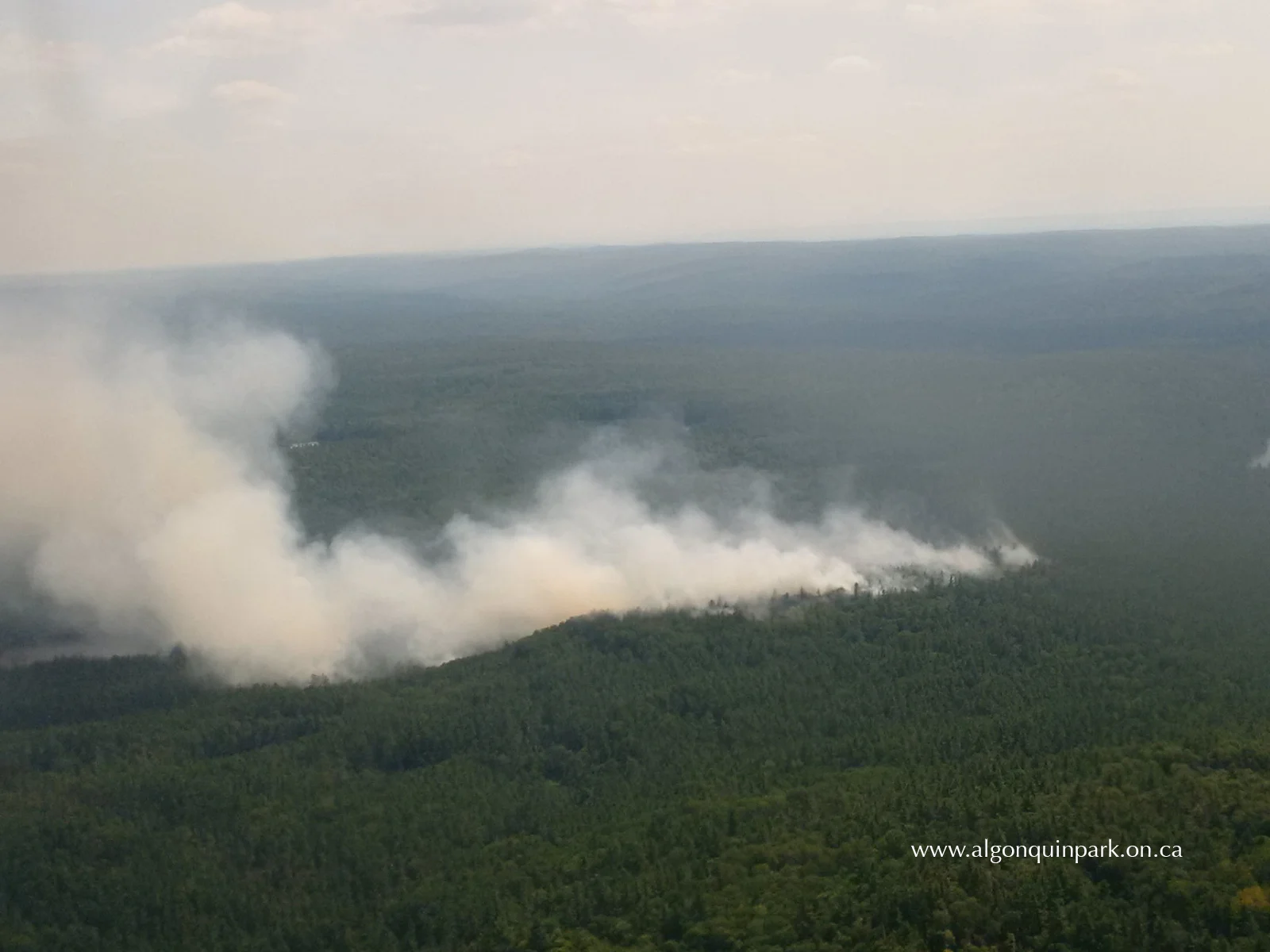 Photo: Algonquin Park - 30 Hector Fire in the forest surrounding High Falls Lake which was created by humans. Taken on August 10th 2016. Read more about it here
