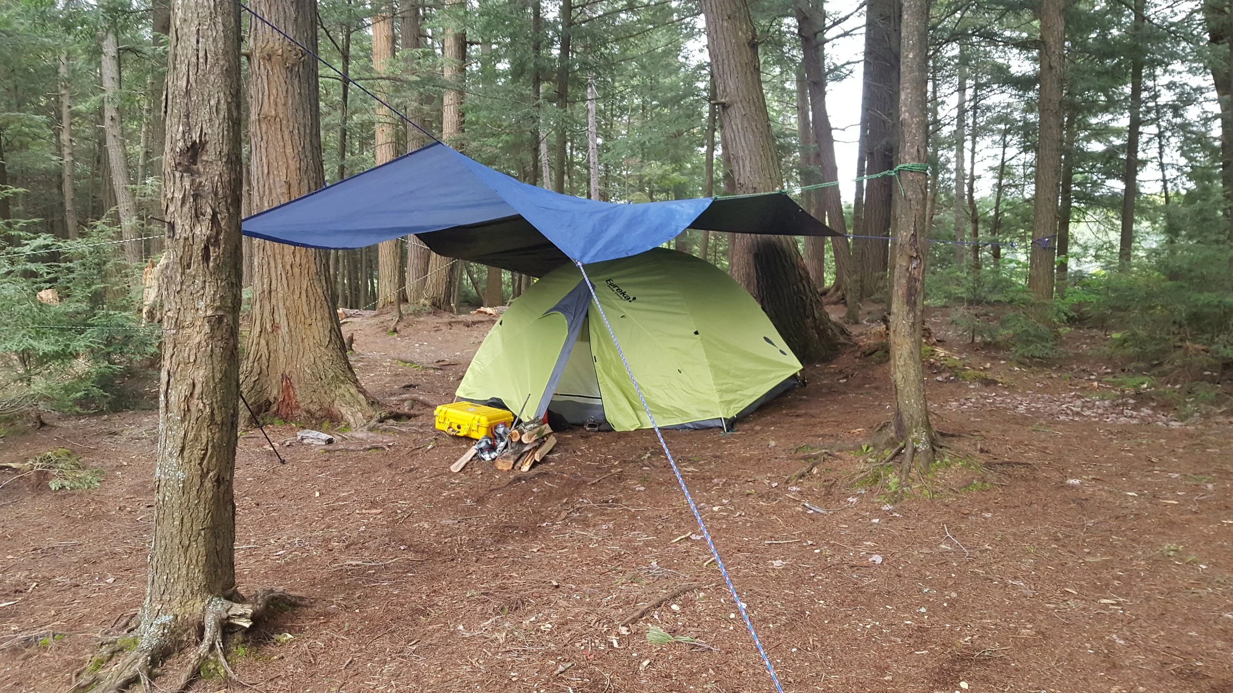 One of the island sites on Little Trout Lake
