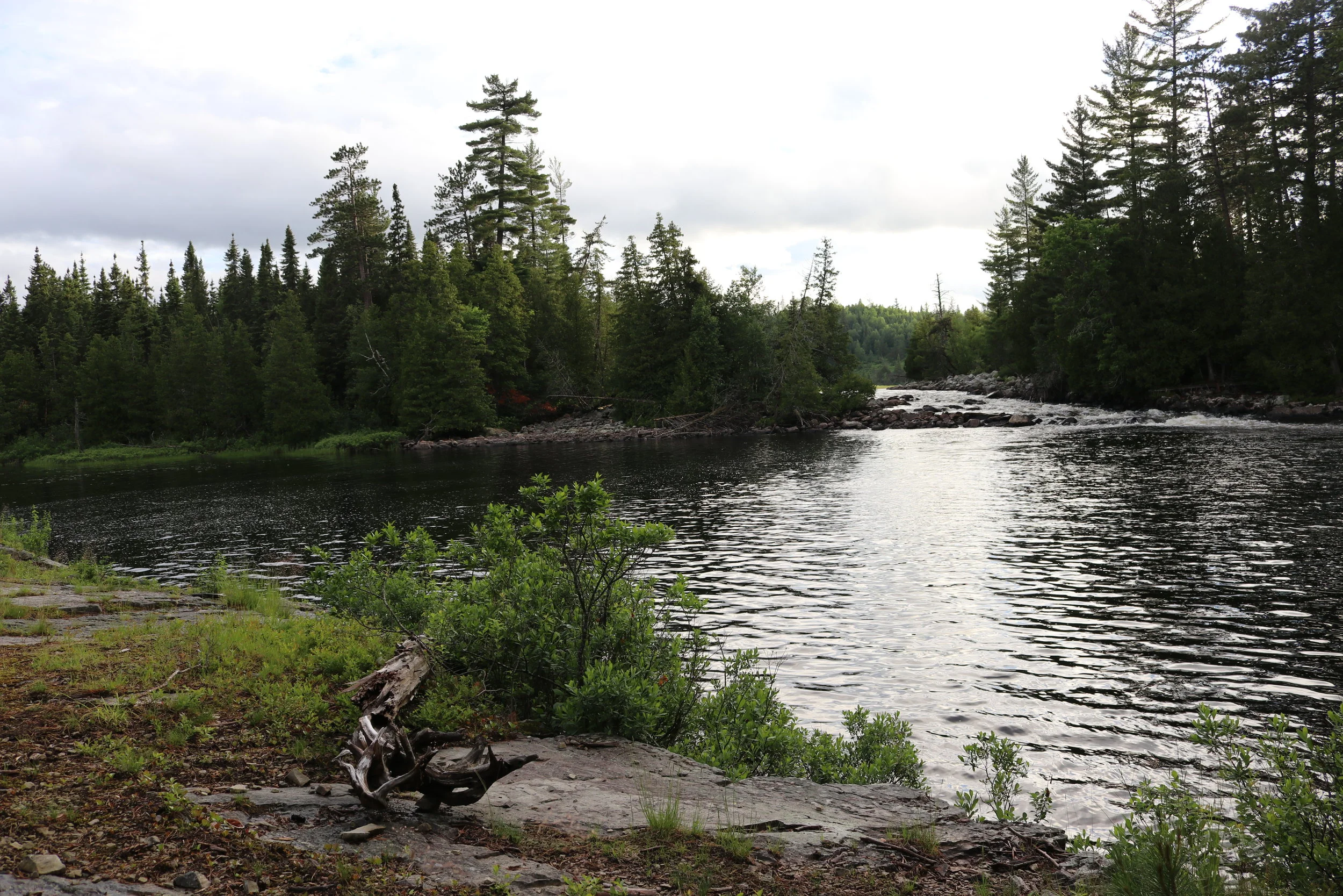 Camp #1 on the Lady Evelyn River