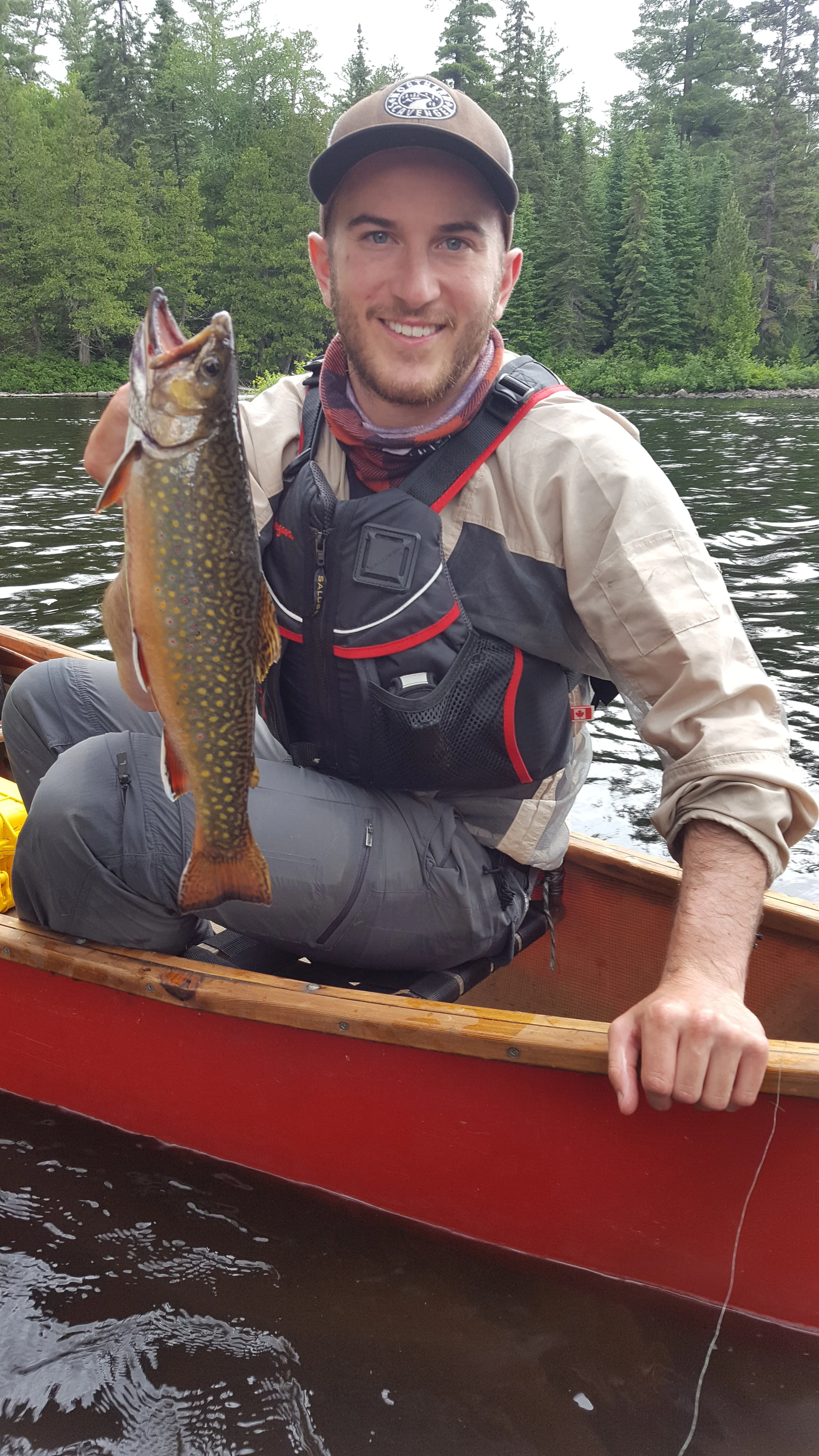 More Brook Trout along the Lady Evelyn River