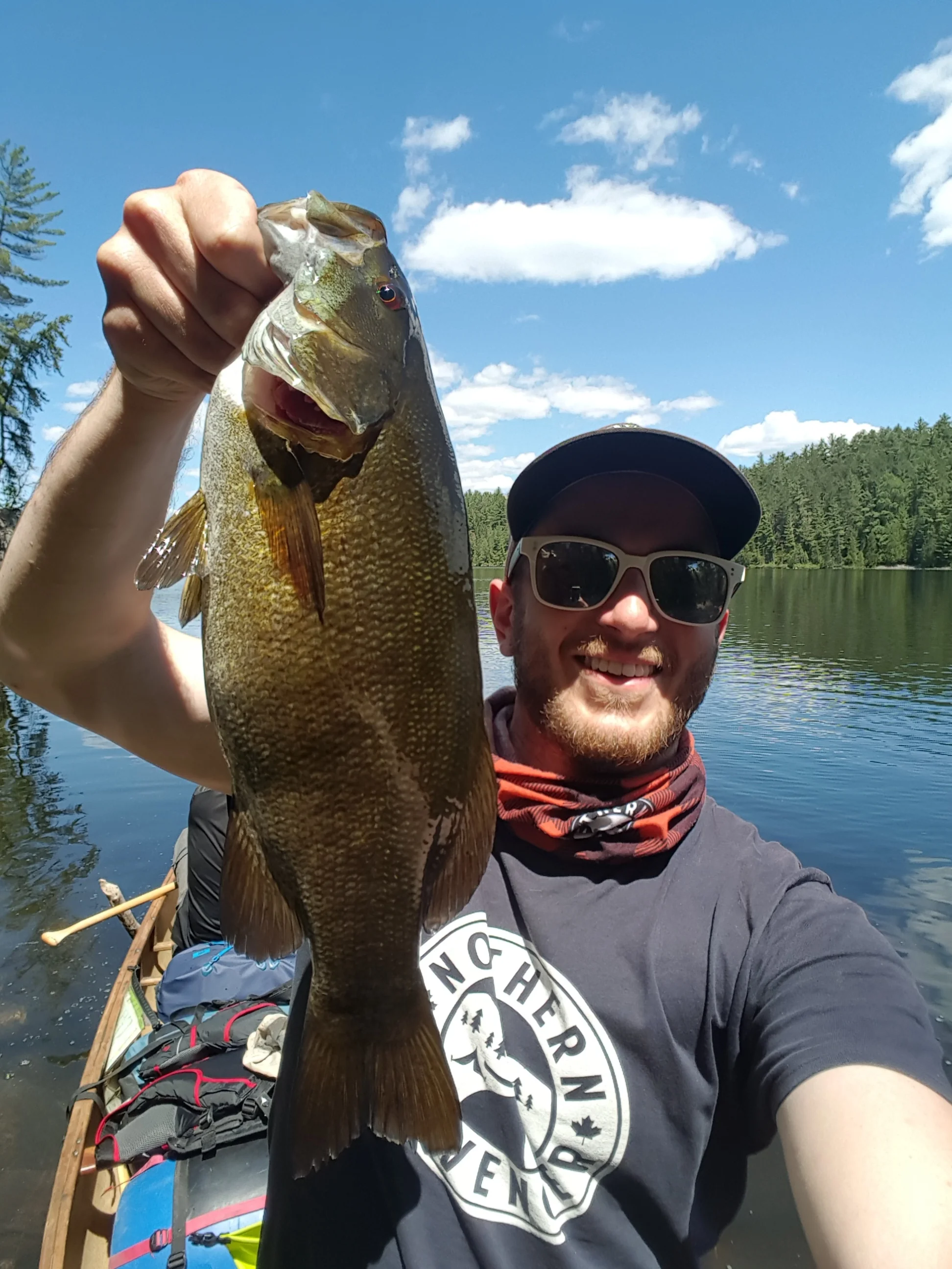 Smallmouth Bass caught in Carpmor Lake in Temagami
