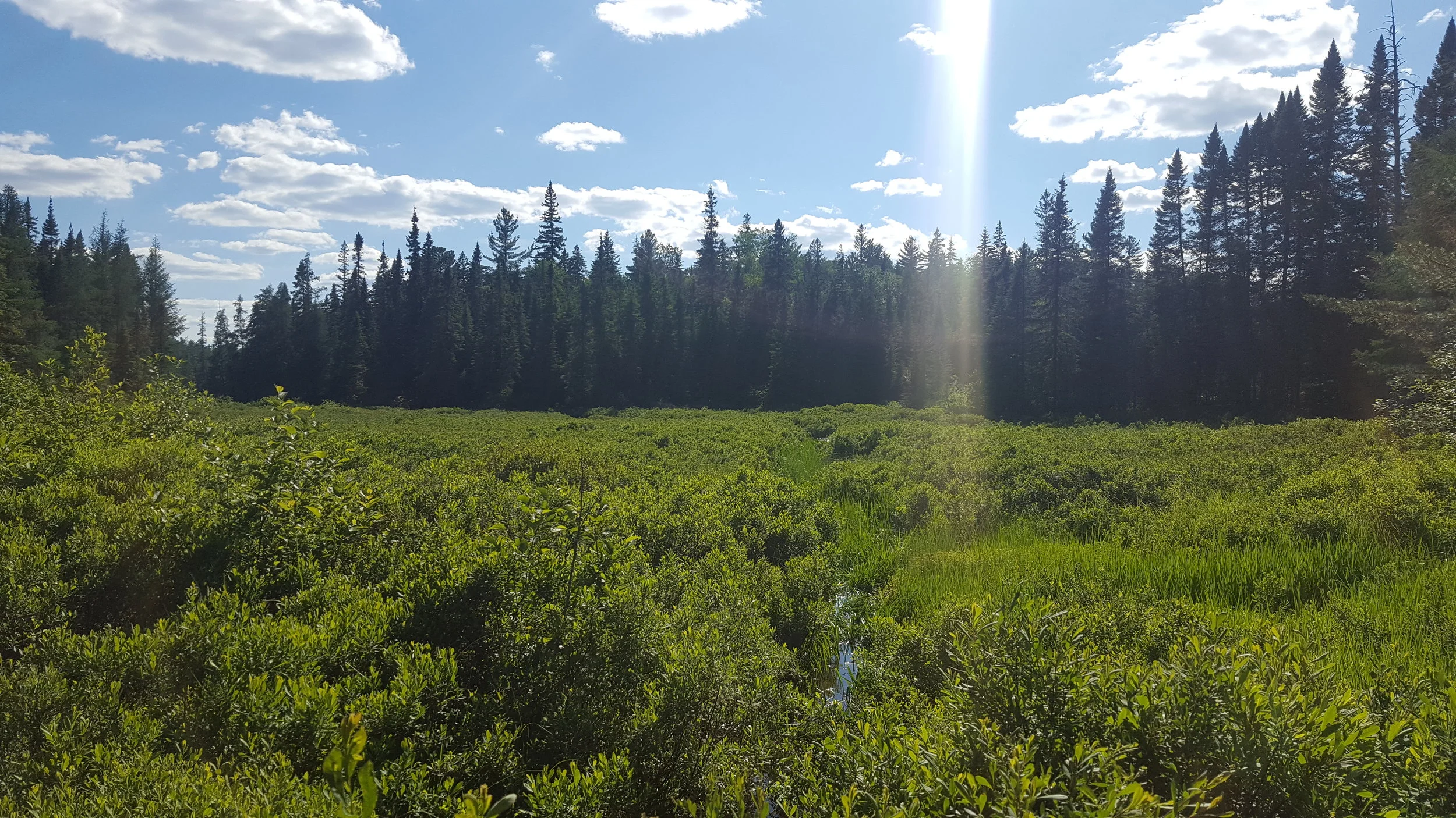 You can vaguely see the trail we had just pushed through after the small pond following the 180m portage
