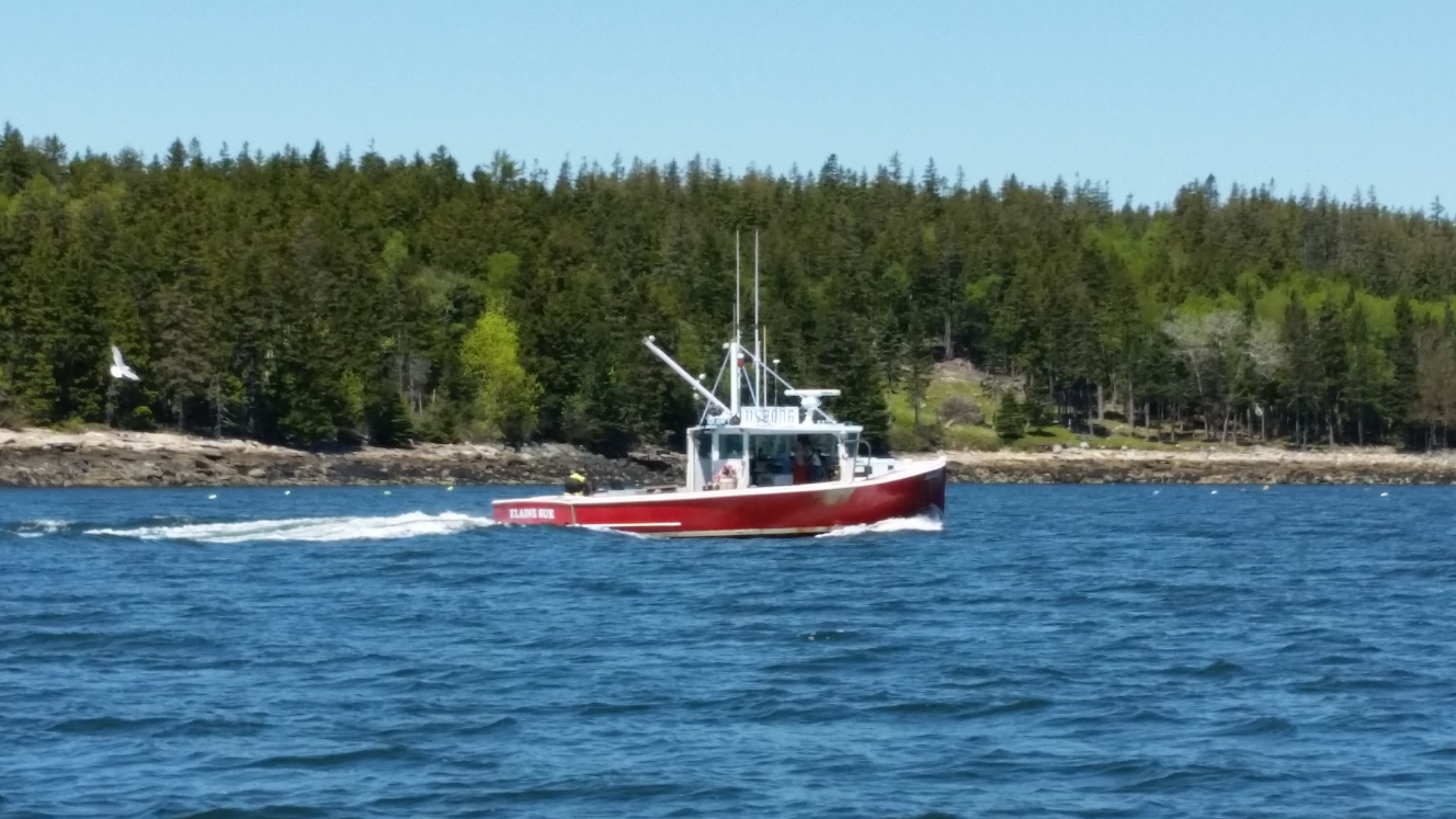 Frenchman Bay, ME