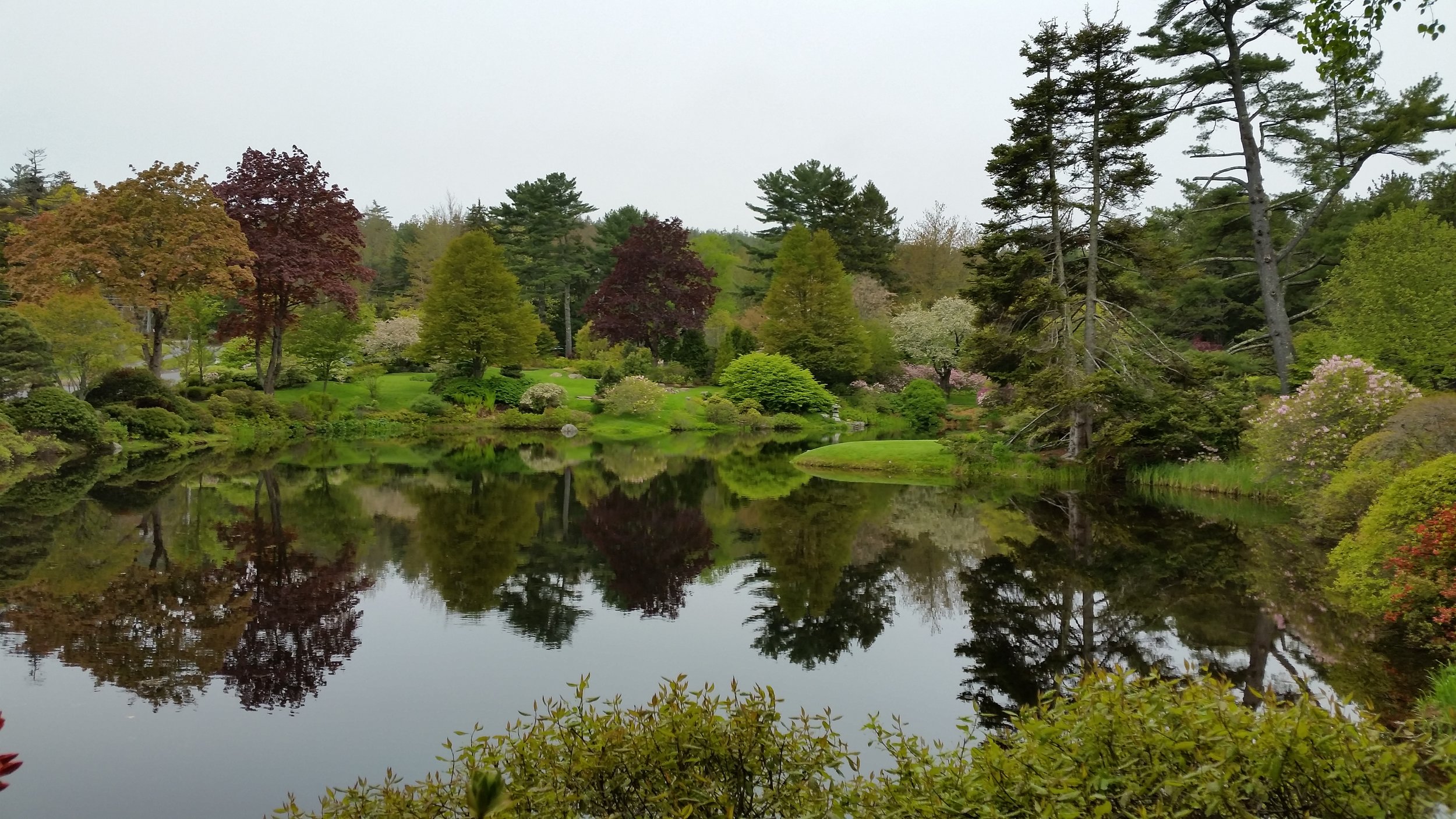 Asticou Azalea Garden, ME