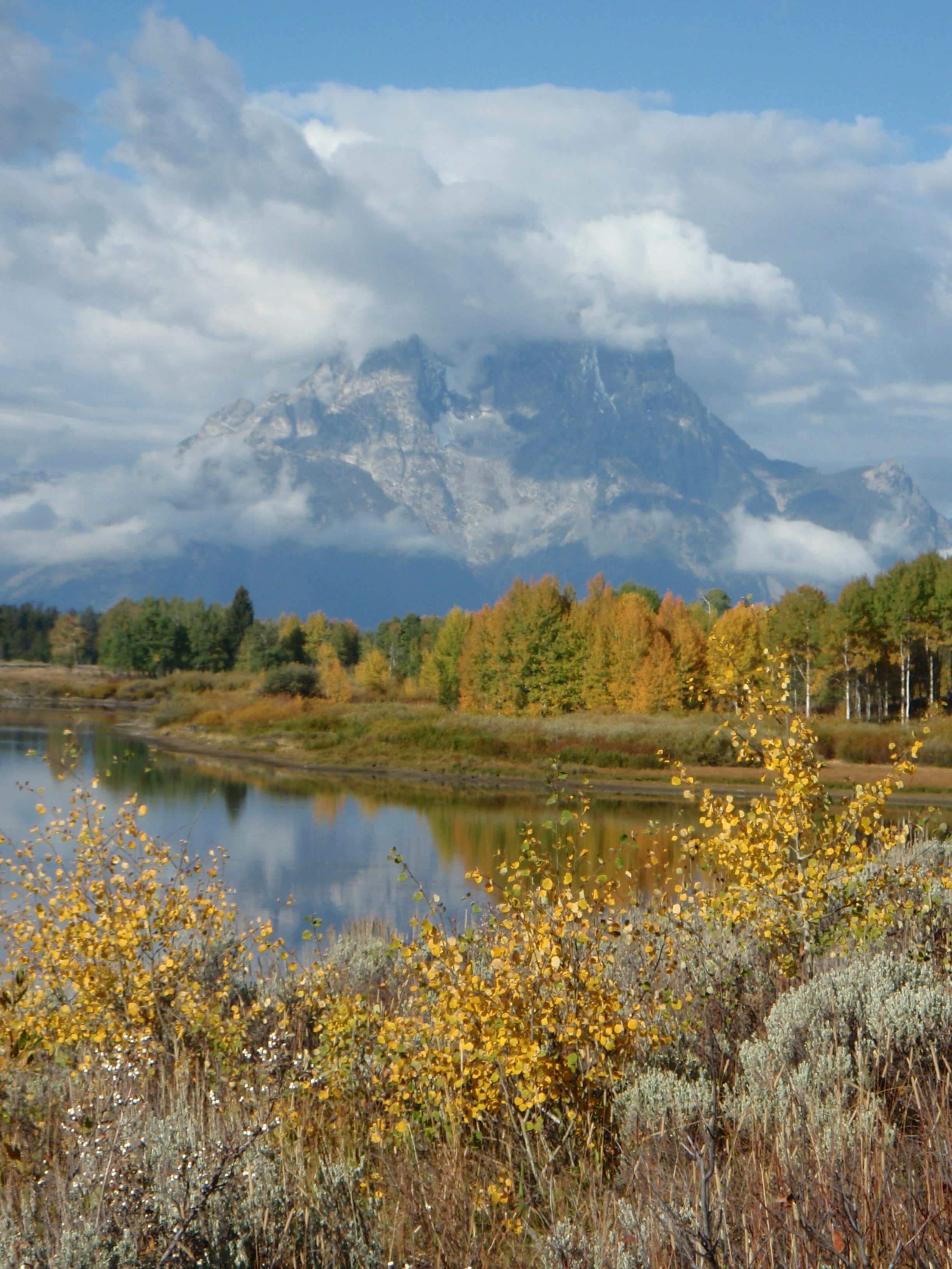 Oxbow Bend Turnout en route to Grand Teton National Park