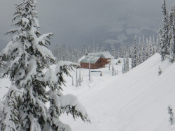 Mustang Powder lodge