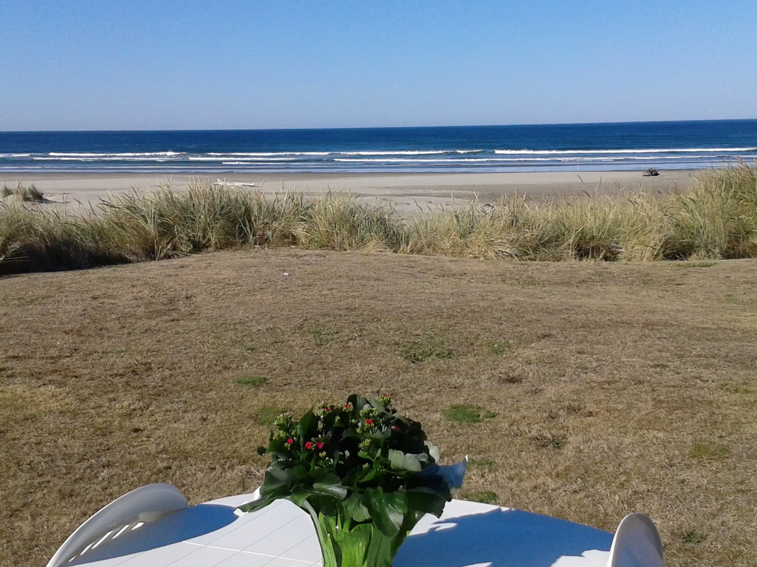 View from cottage at 571 Beach Street, Manzanita
