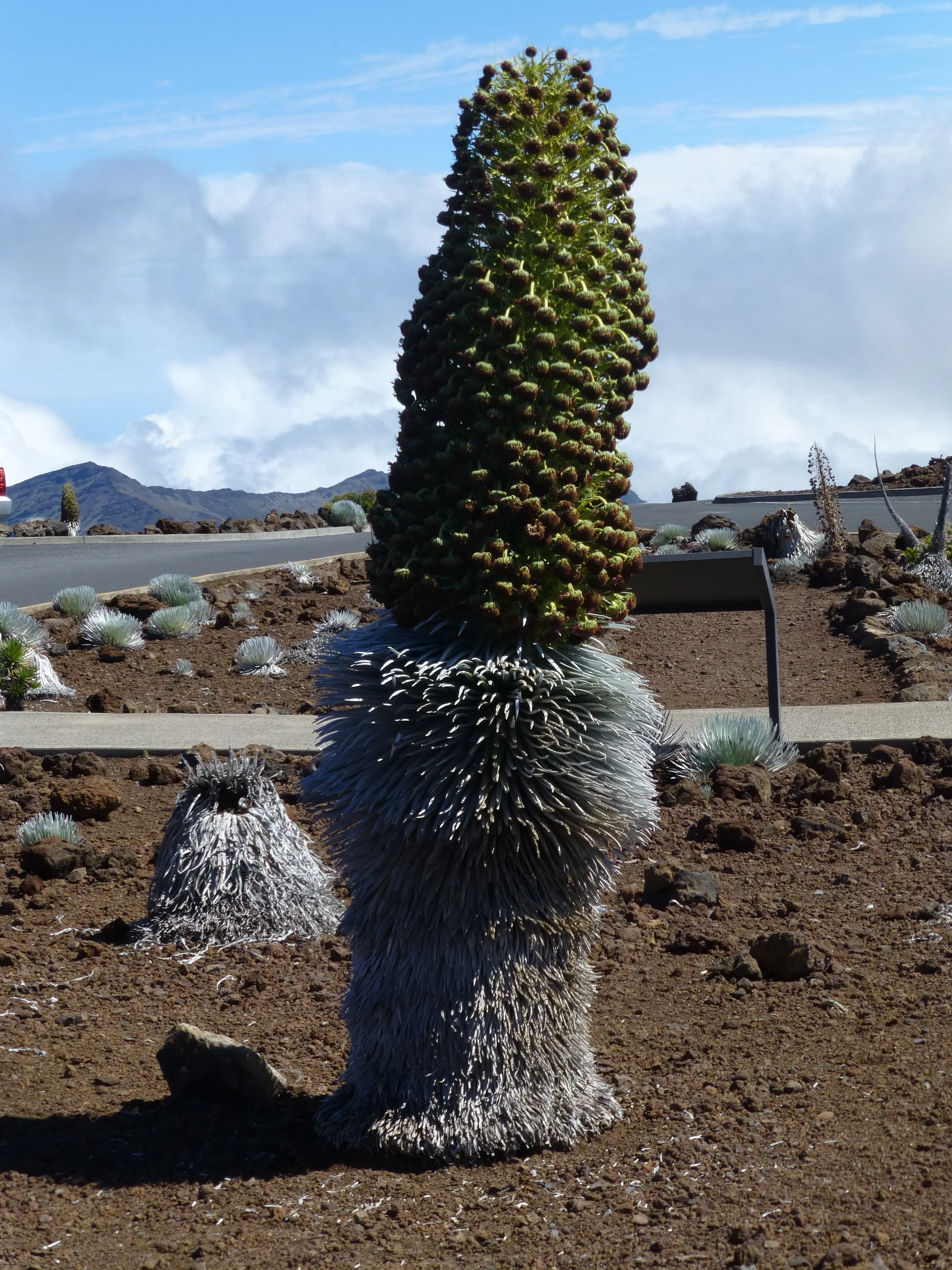 Haleakala, HI .JPG