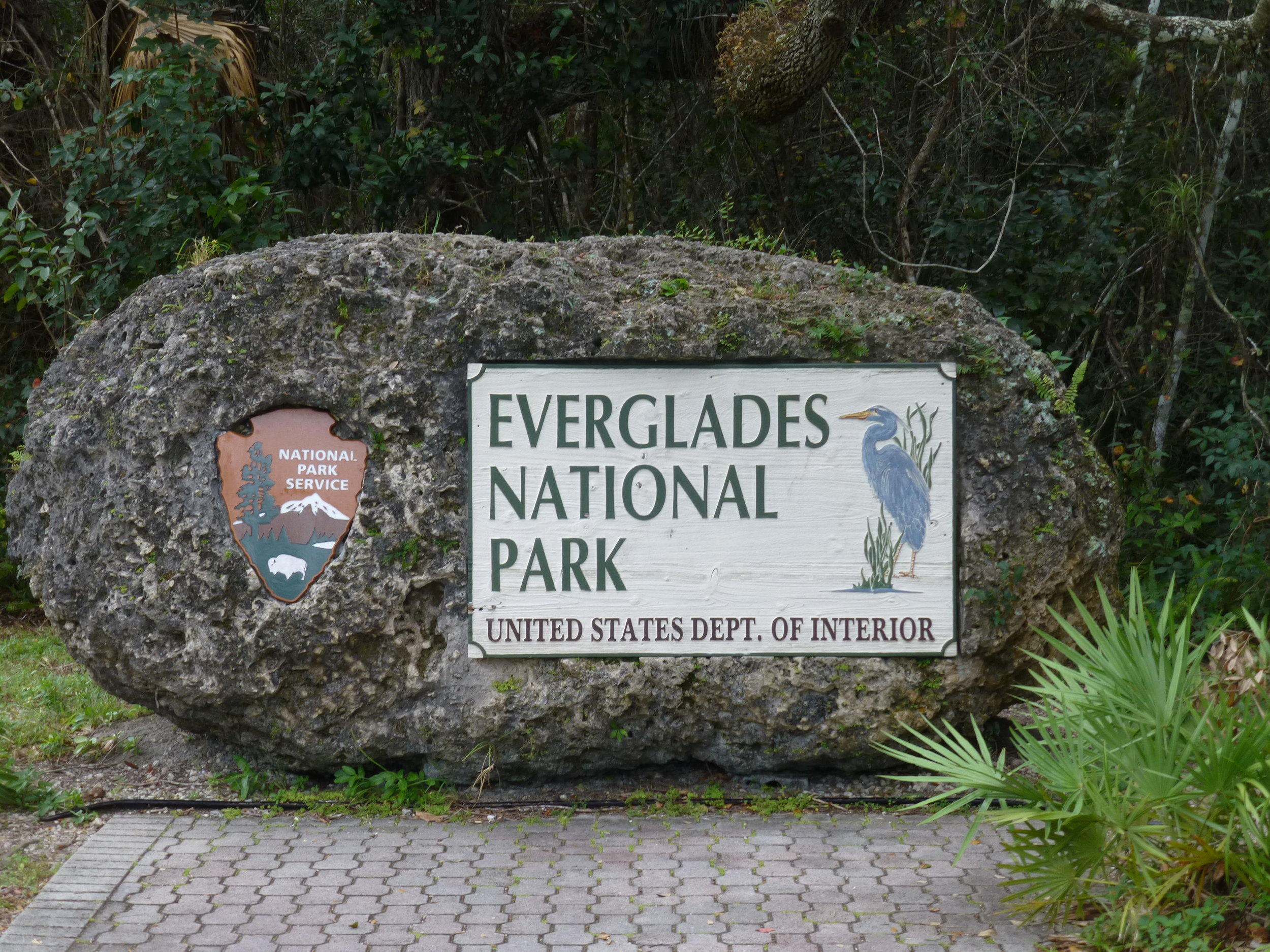 Everglades.JPG