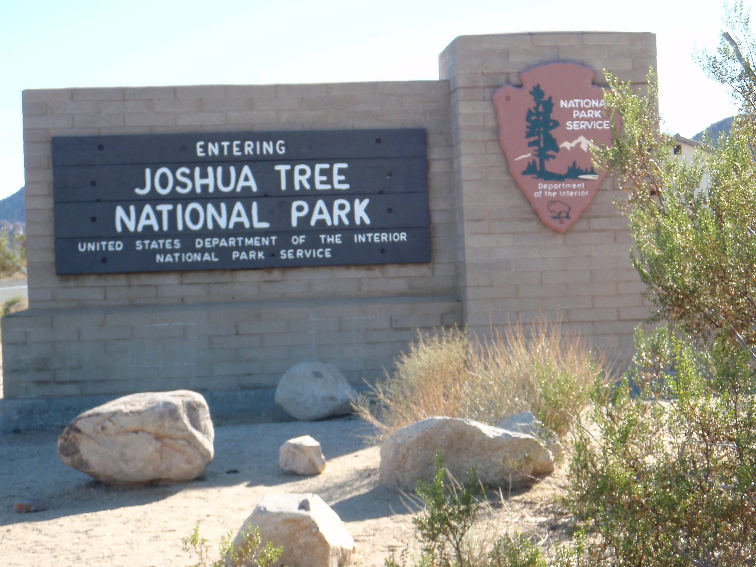 Joshua Tree.jpg