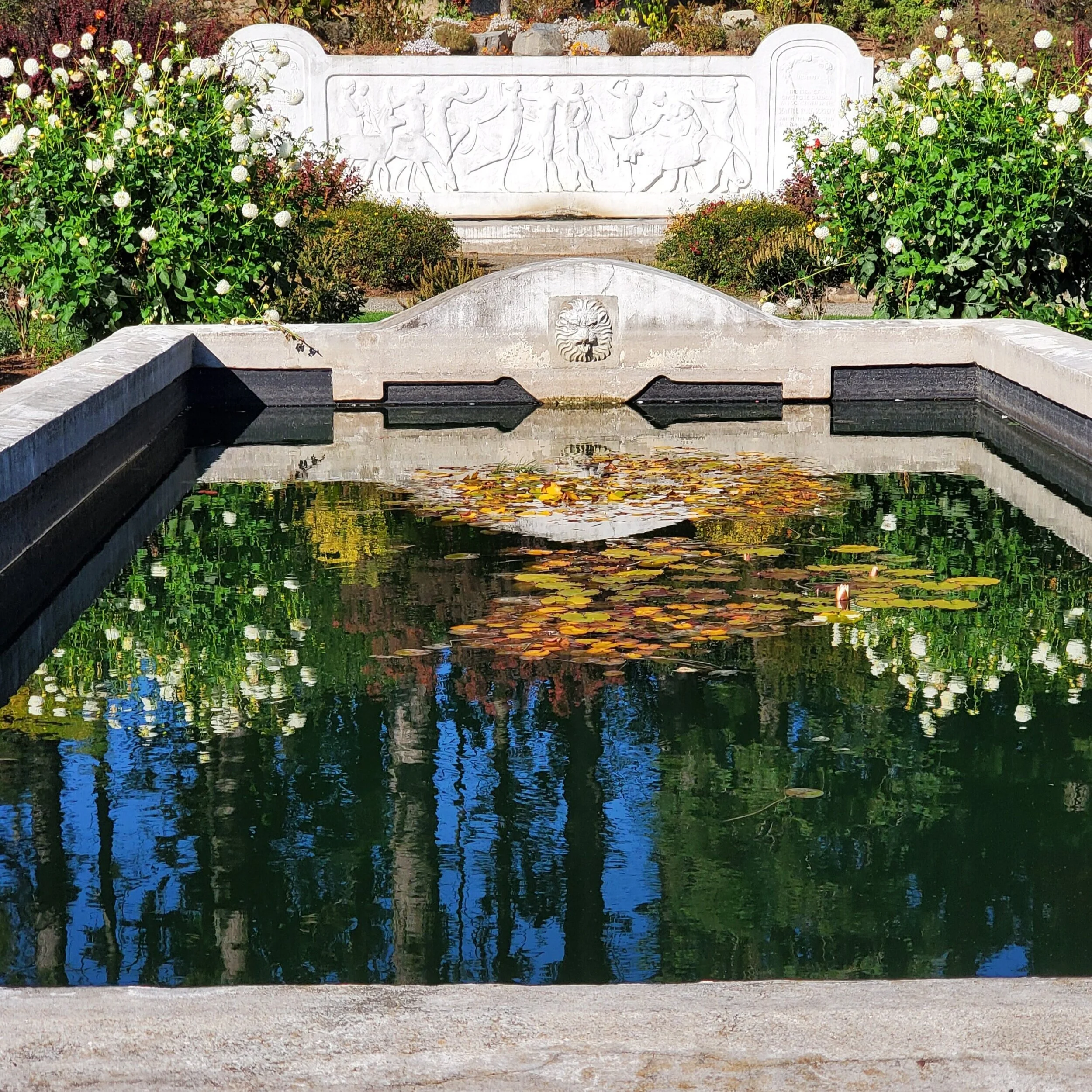 Rose Garden, Woodland Park