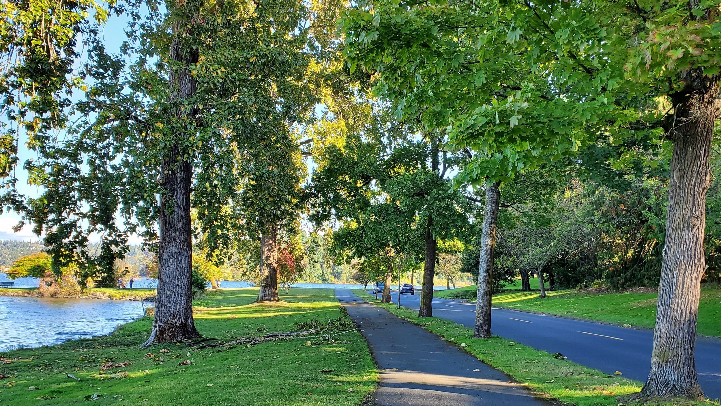 Lake Washington Boulevard