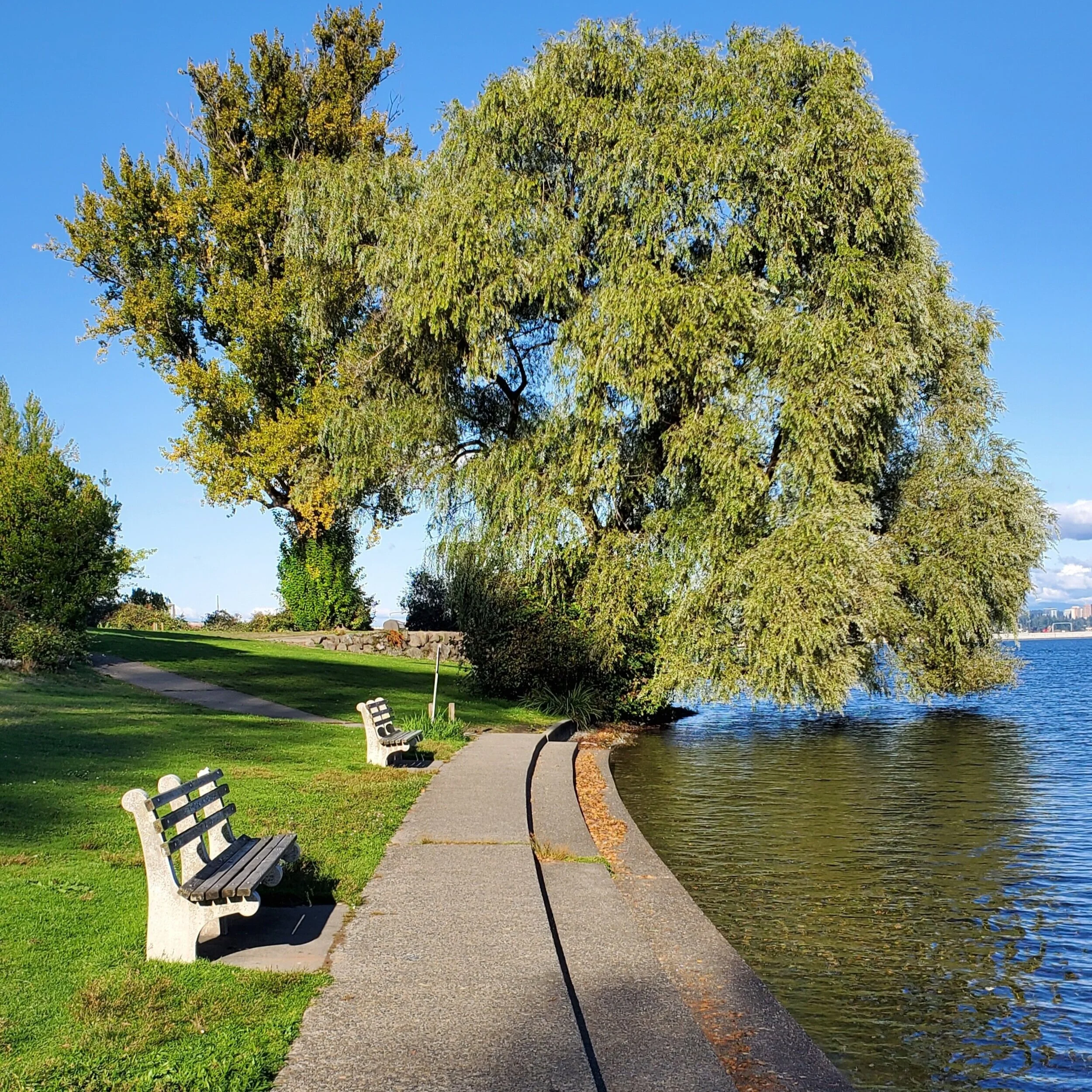 Colman Park