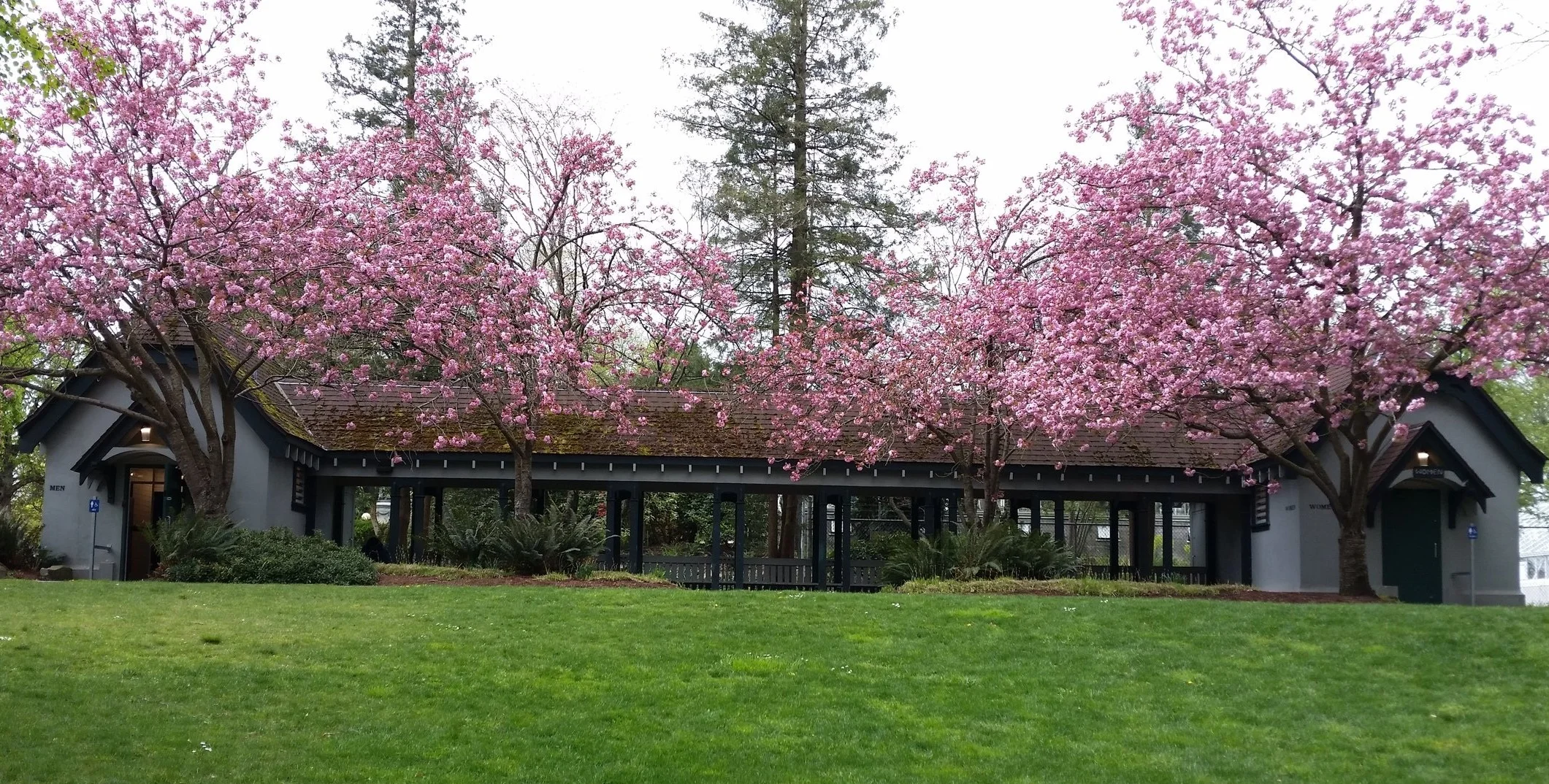 Seattle's Top Ten Olmsted Parks - A Local's Tour (and Walks)