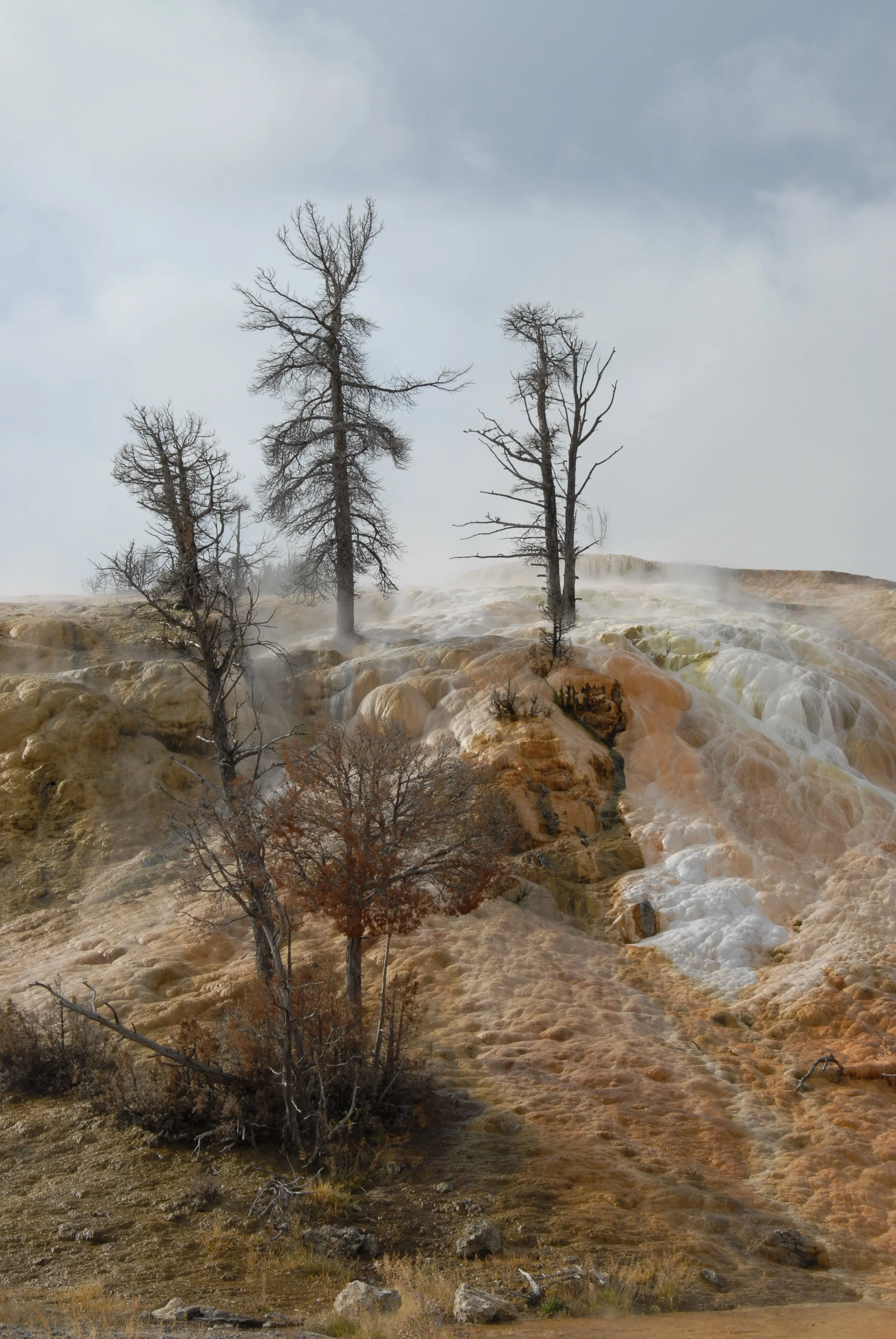 Summer 2010 Yellowstone 068.JPG