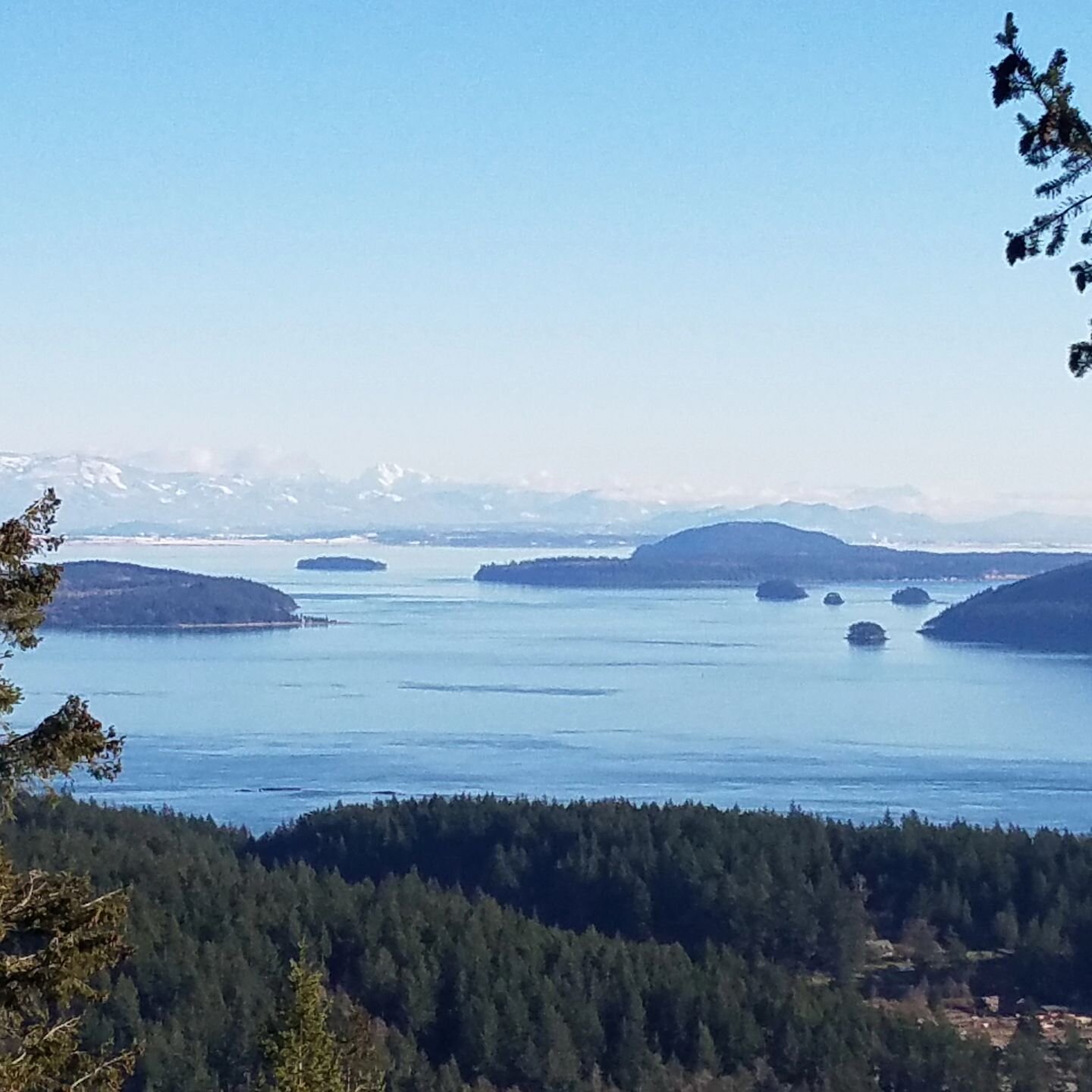 I just posted &quot;Seven Favorite All-Season Hikes on Orcas Island&quot; for my friends/family  @TravelwithJanice.com. These hikes have sustained me through so many different events, one less dramatic being the recent low snow ski season. But, now i