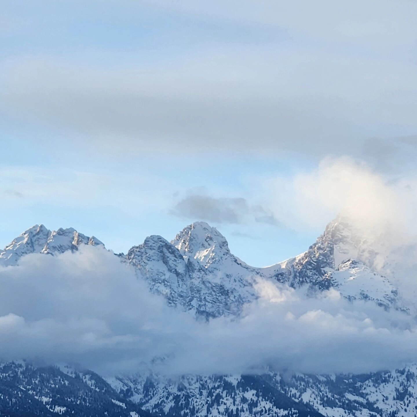 The Grand Tetons in all their glory - fun to re-explore Jackson! And the snow is good.