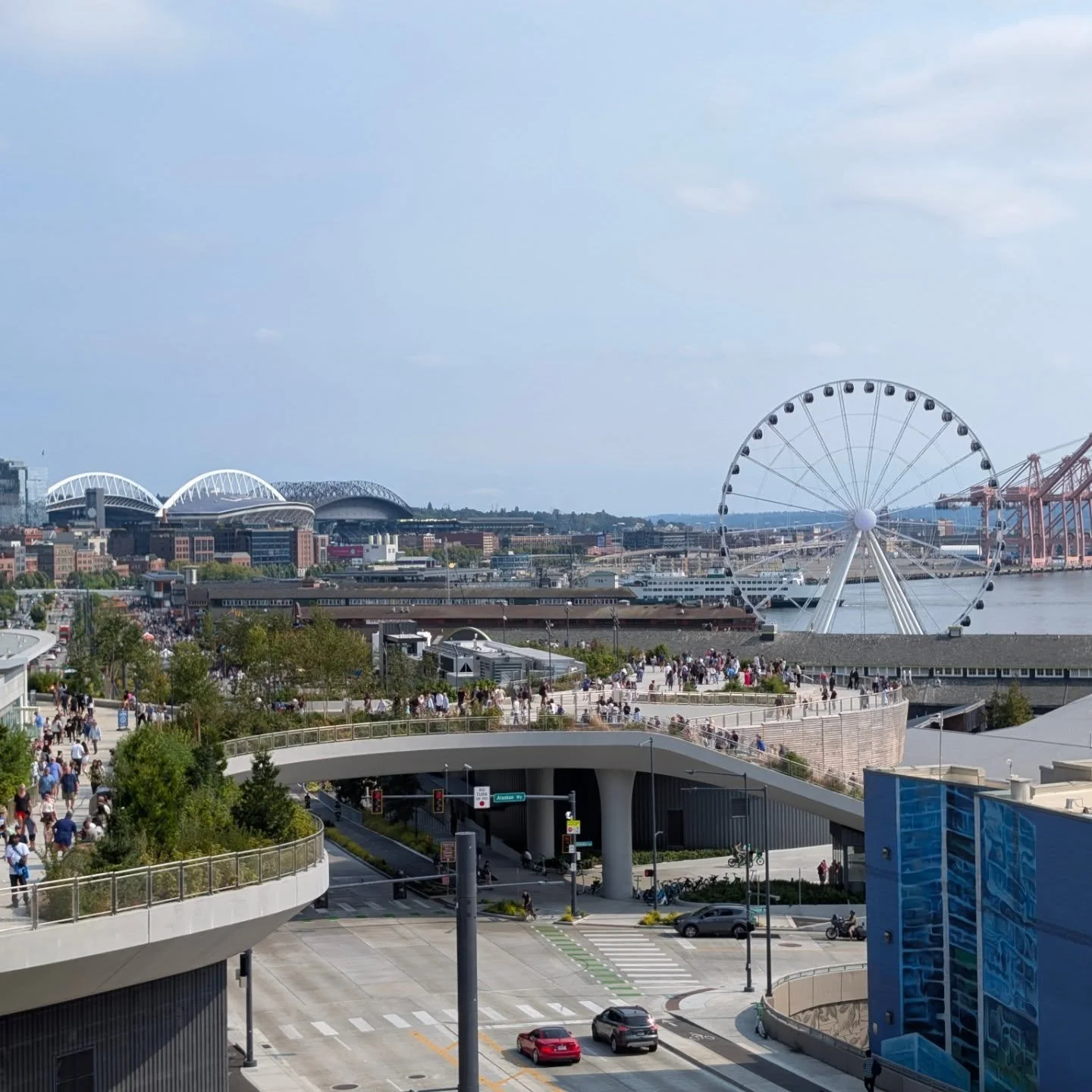 So fun to explore Seattle's renovated waterfront with visiting family! (Murals of eagle, otter &amp; seal are billed as largest murals in North America. Note the small person - lower left in front of otter.)