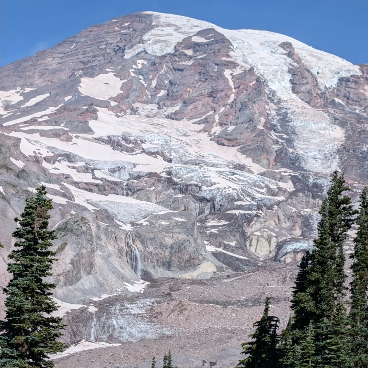 The wildflowers @ Mt Rainer NP r still out! (And so r the crowds.)