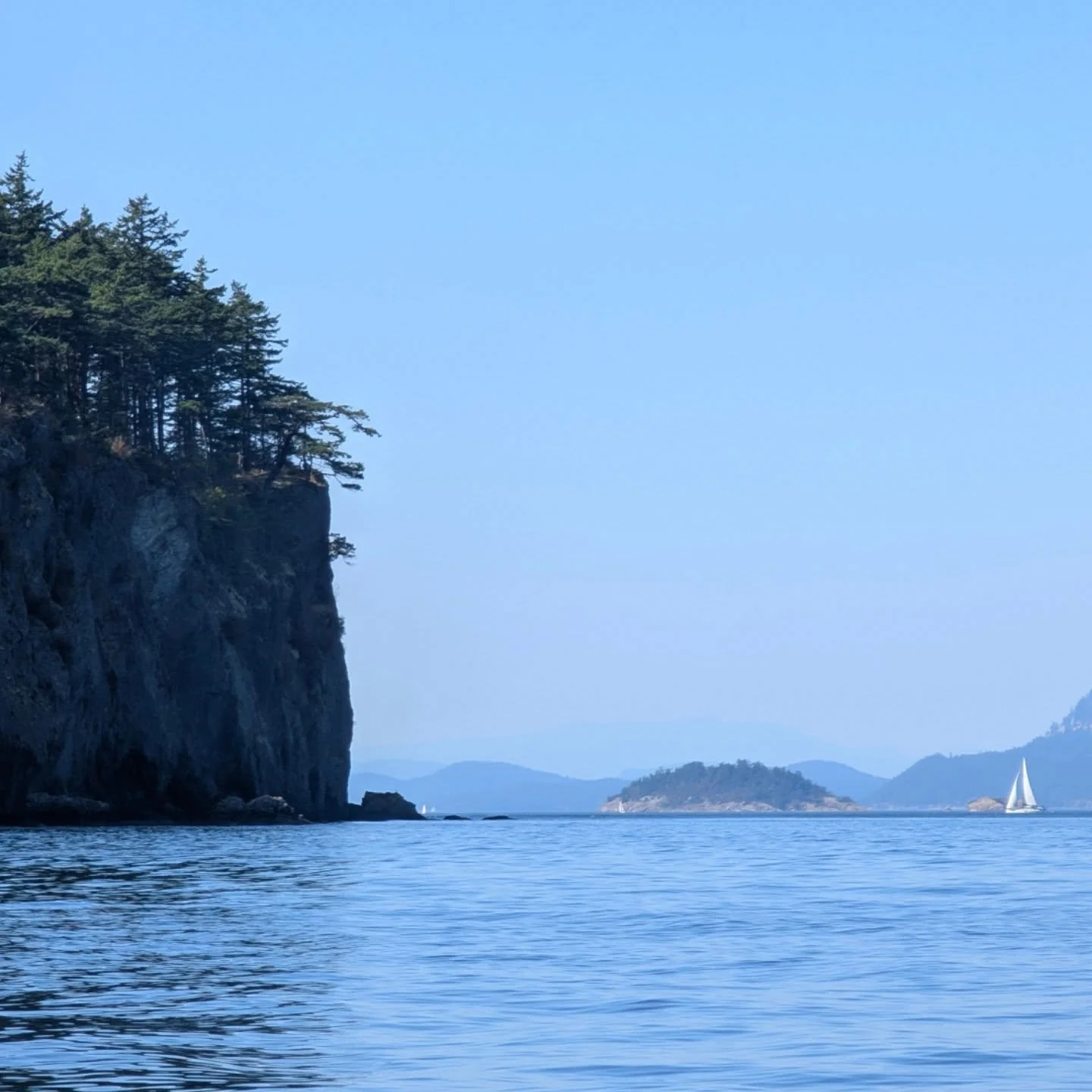 The rock wall on the left of this photo was littered with sea life when I began kayaking here 30 years ago. There was nothing today - so sad!
