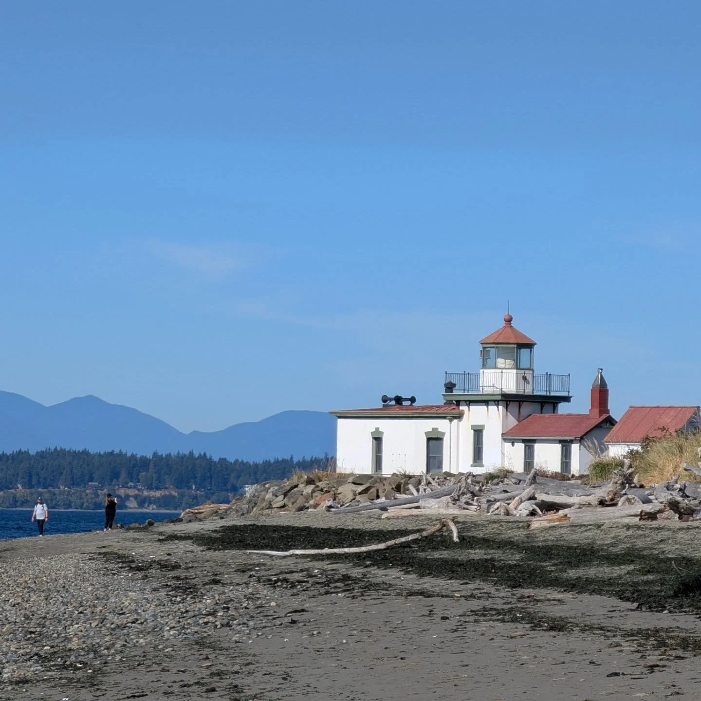 A beautiful week in Seattle - big walk @ Discovery Park, Halloween cheer &amp; Gates compound on wonderful Lk WA paddle topped of with Light Box exhibit @ SAM on Volunteer Park  walk!