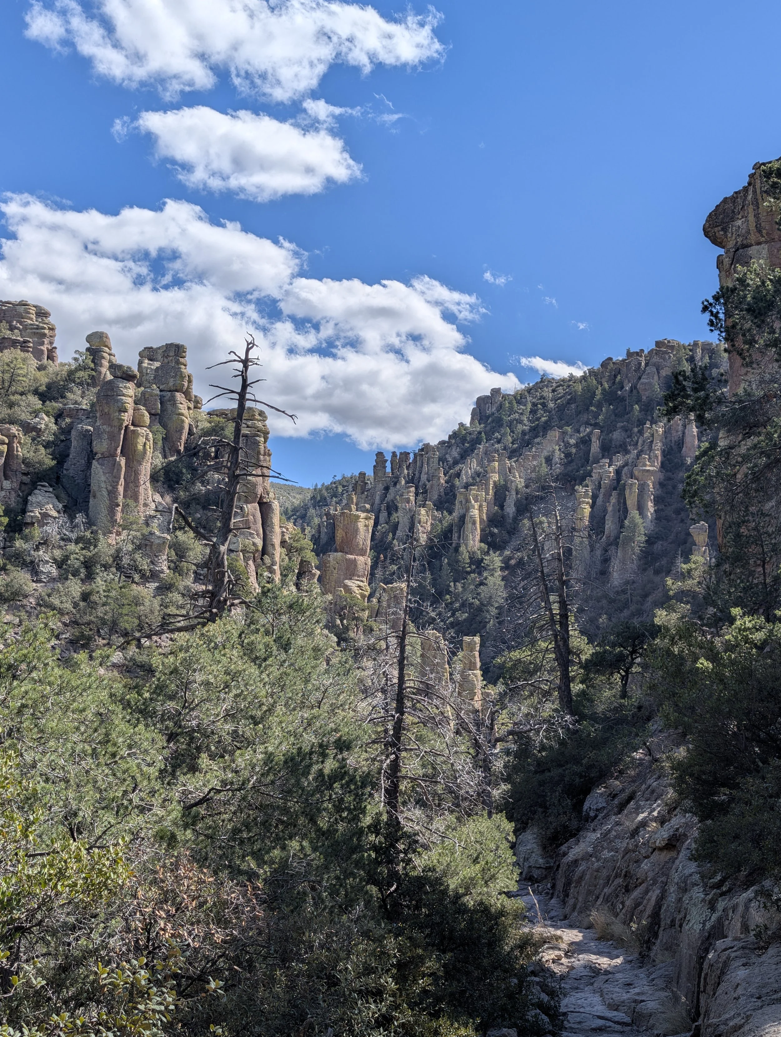 Blue skies and white billowy clouds highlight the rock formations and trail.