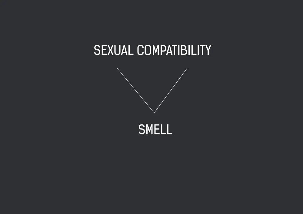 VR_simulator_interface_4.jpg