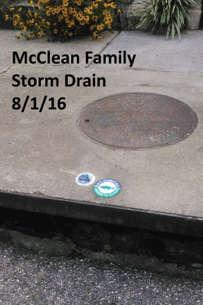 Adopted Drains