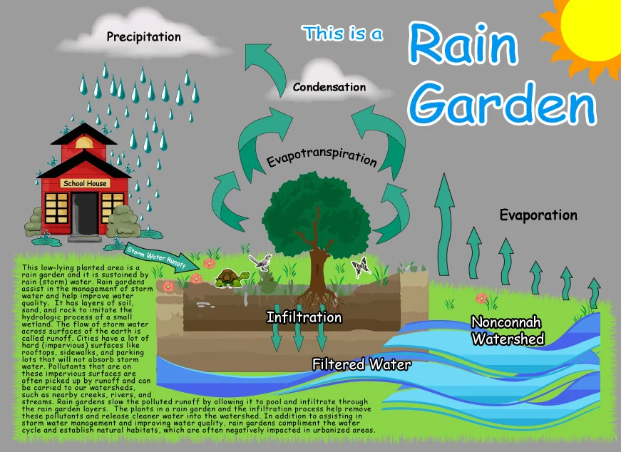 Go Go Green Infrastructure! Memphis Gets Greenlight on Rain Gardens in Schools!